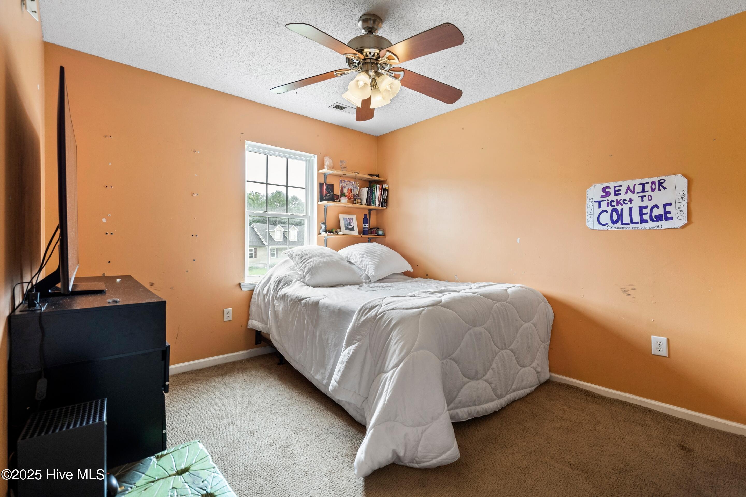 153 Lawndale Lane, Sneads Ferry, NC 28460 – photo 16: 2nd Story