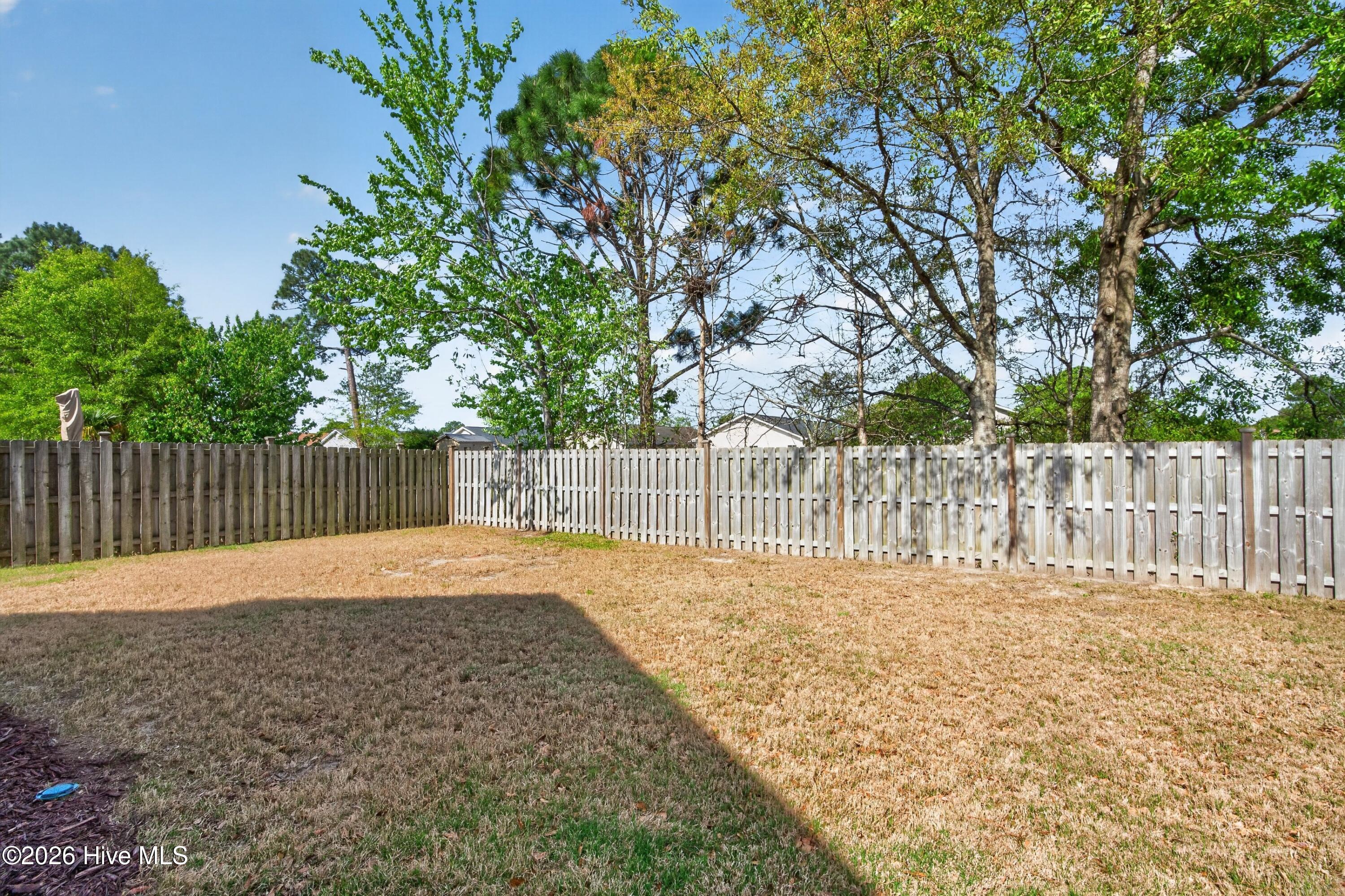 100566210 | Photo 31