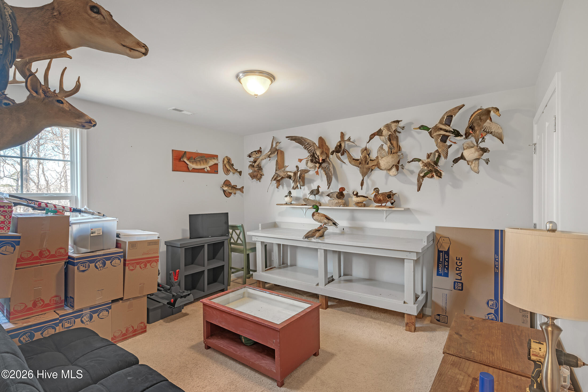 100551488 | Photo 34