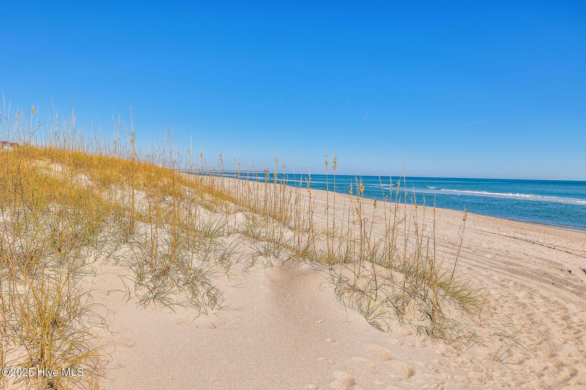 100540097 | Photo 66