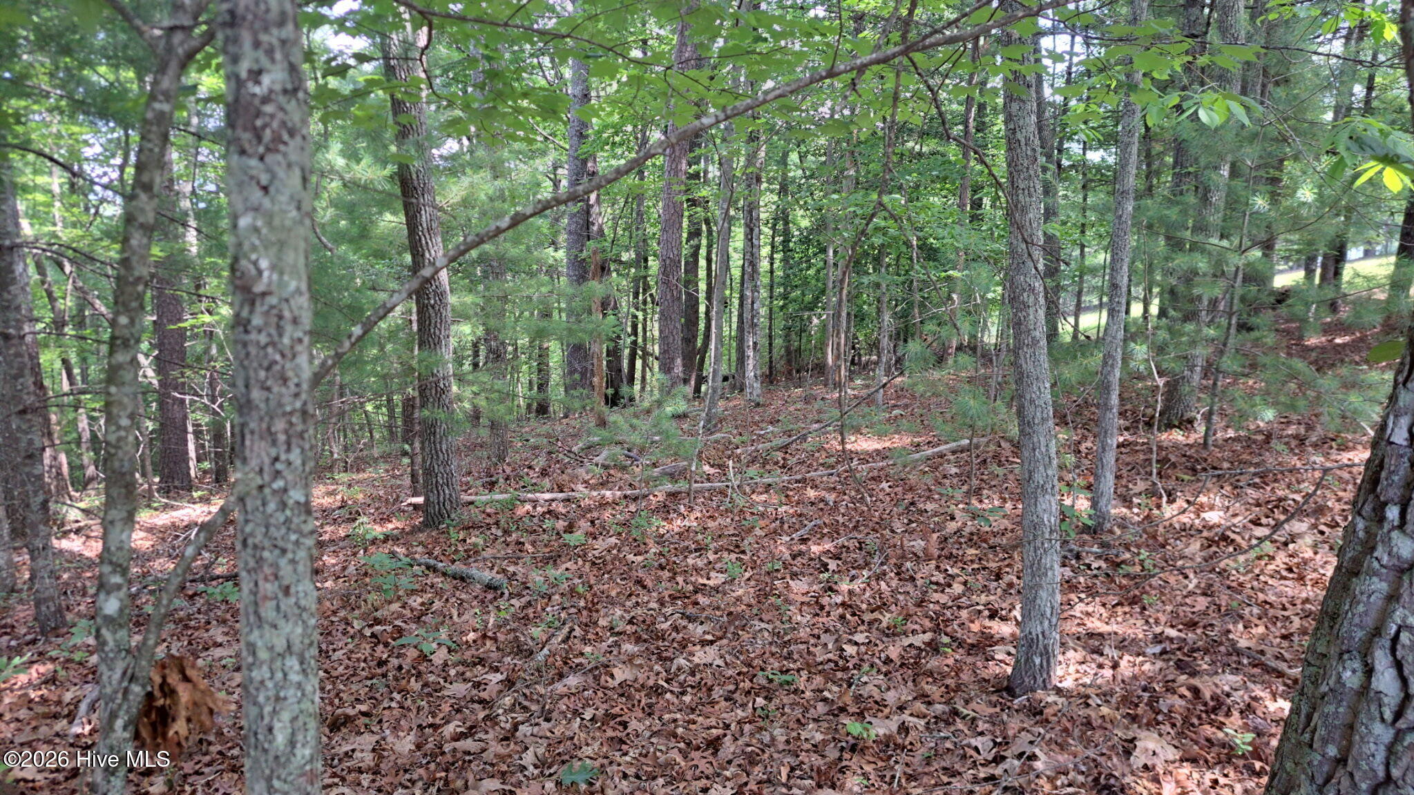 Exterior photo of 31 Acres Upper Bear Paw Road, Murphy, NC 28906. MLS: 100586652