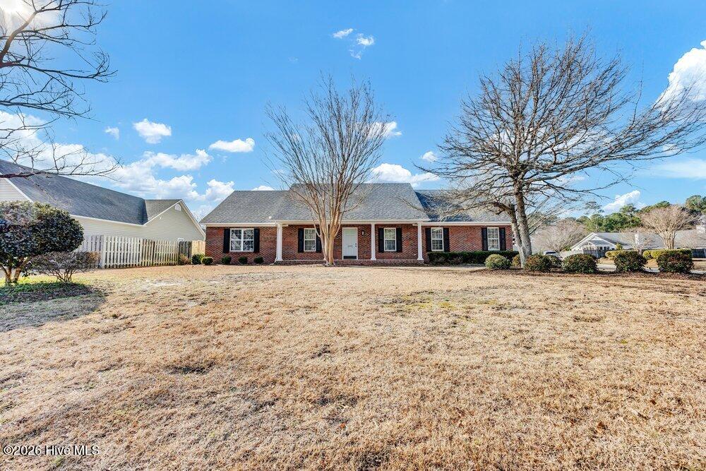 100553481 | Photo 31