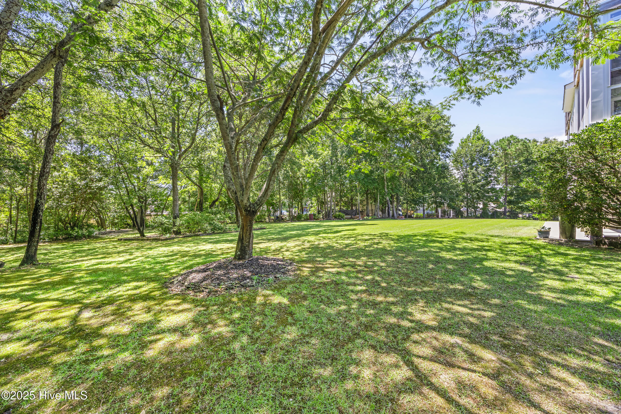 100519629 | Photo 79