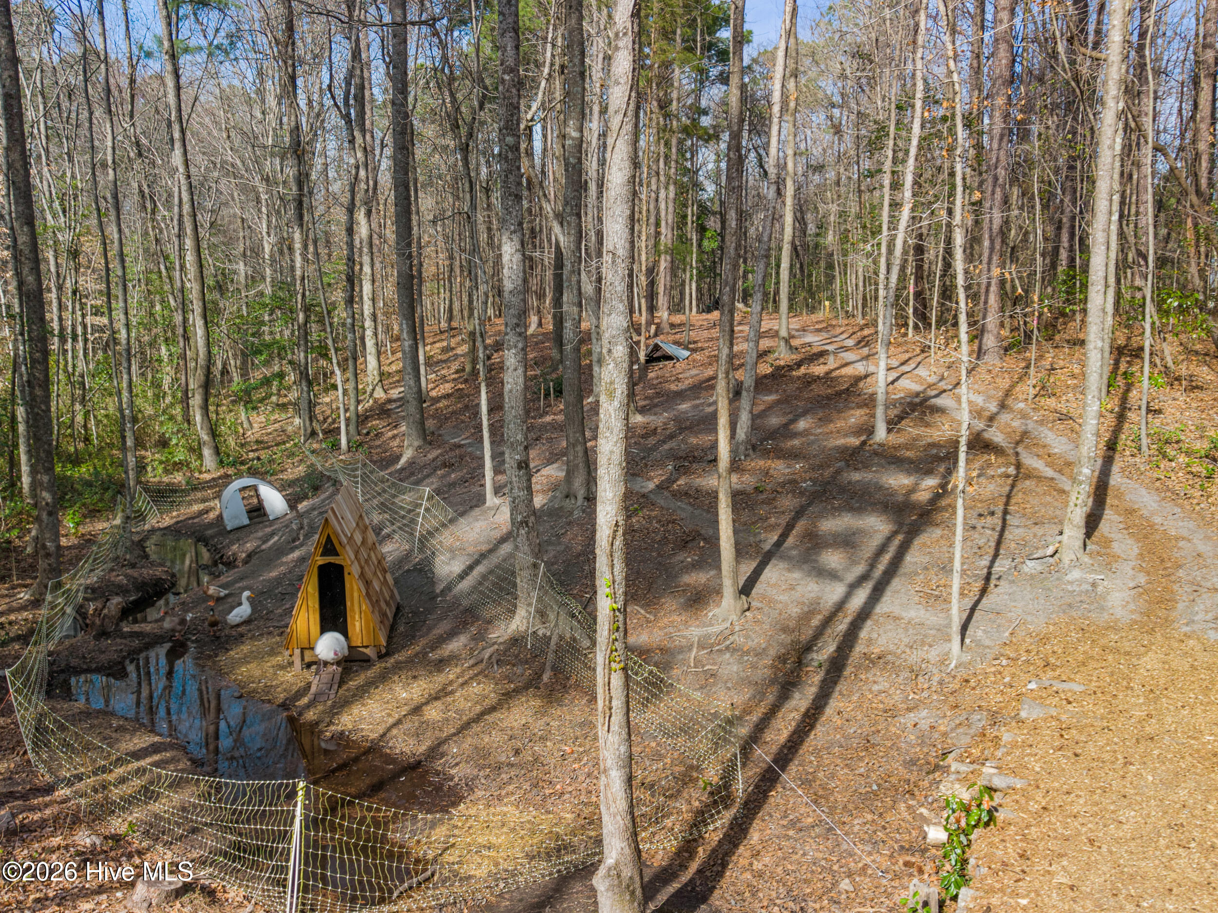 100558735 | Photo 66