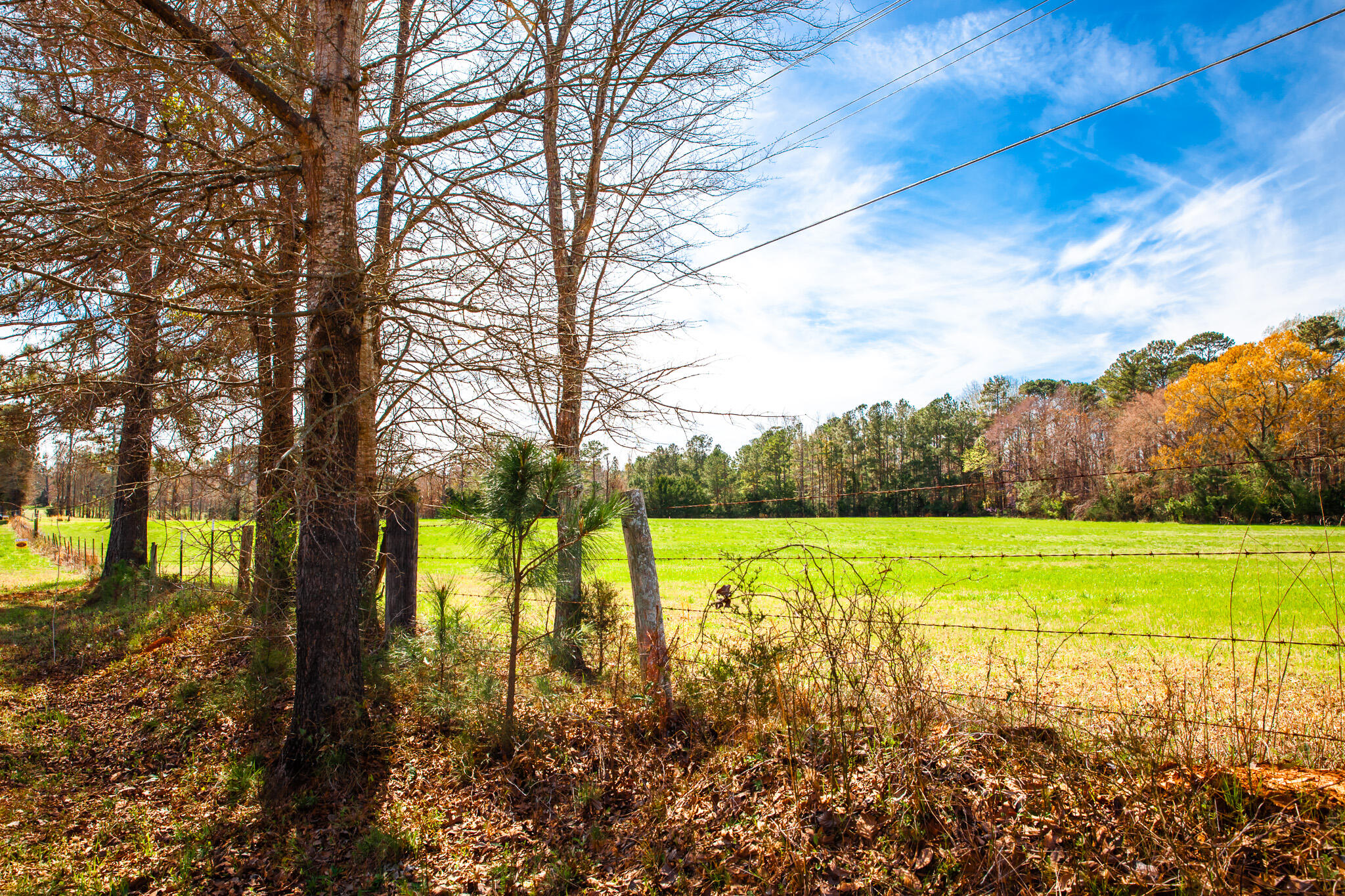 LOT 2 MISTLETOE RD, Appling, GA, 30802