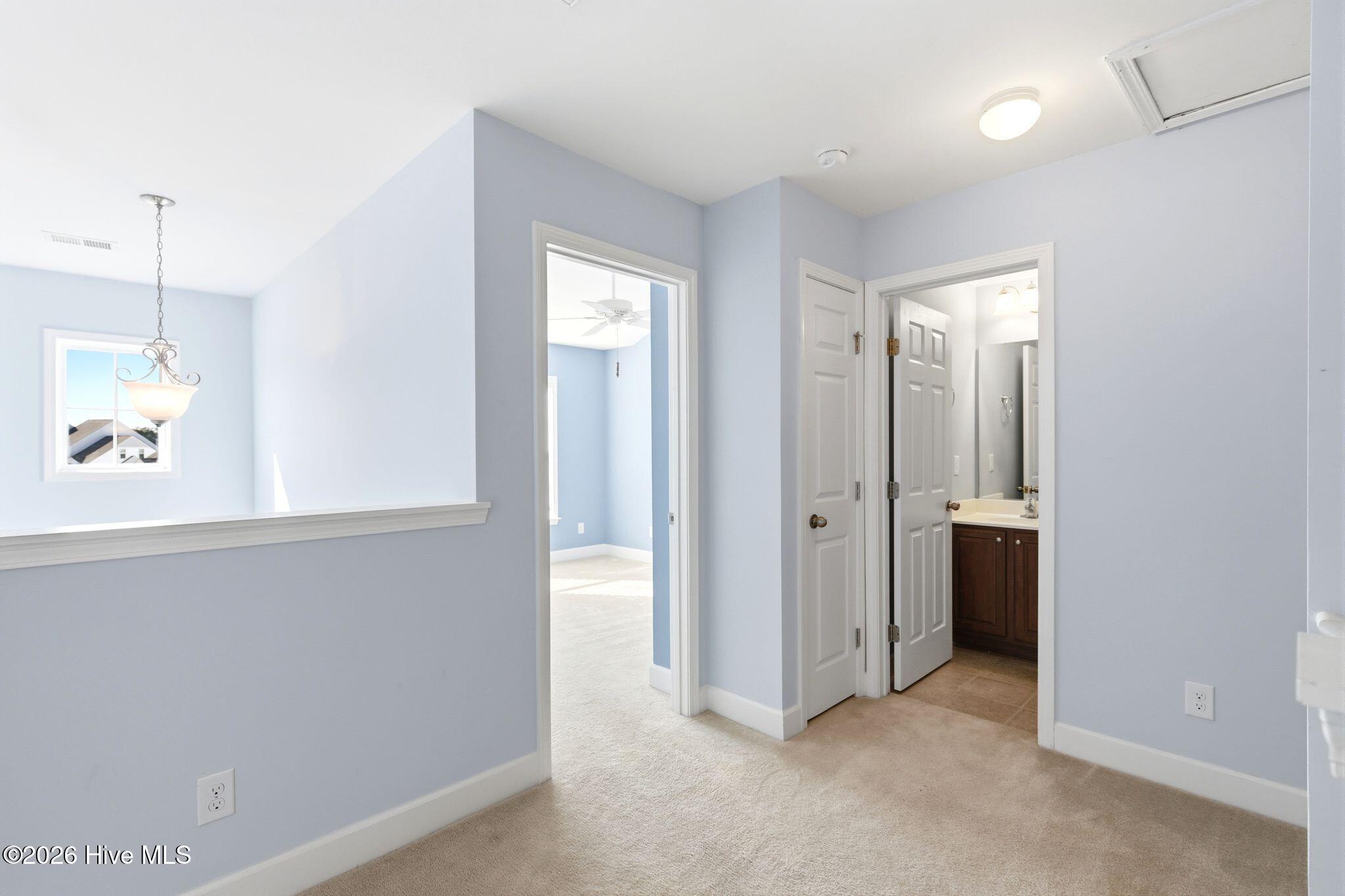 100564398 | Photo 30