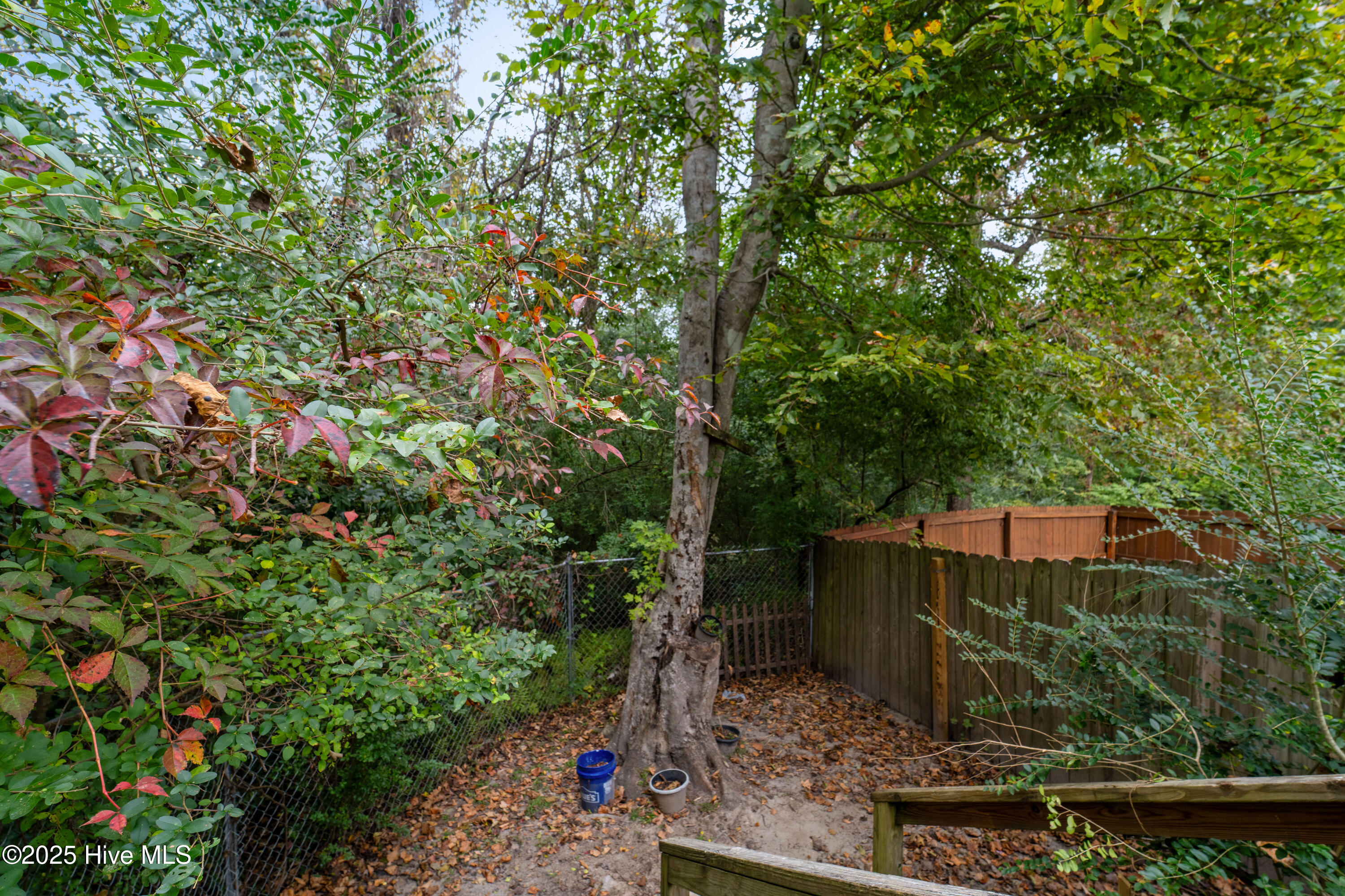 100538926 | Photo 19