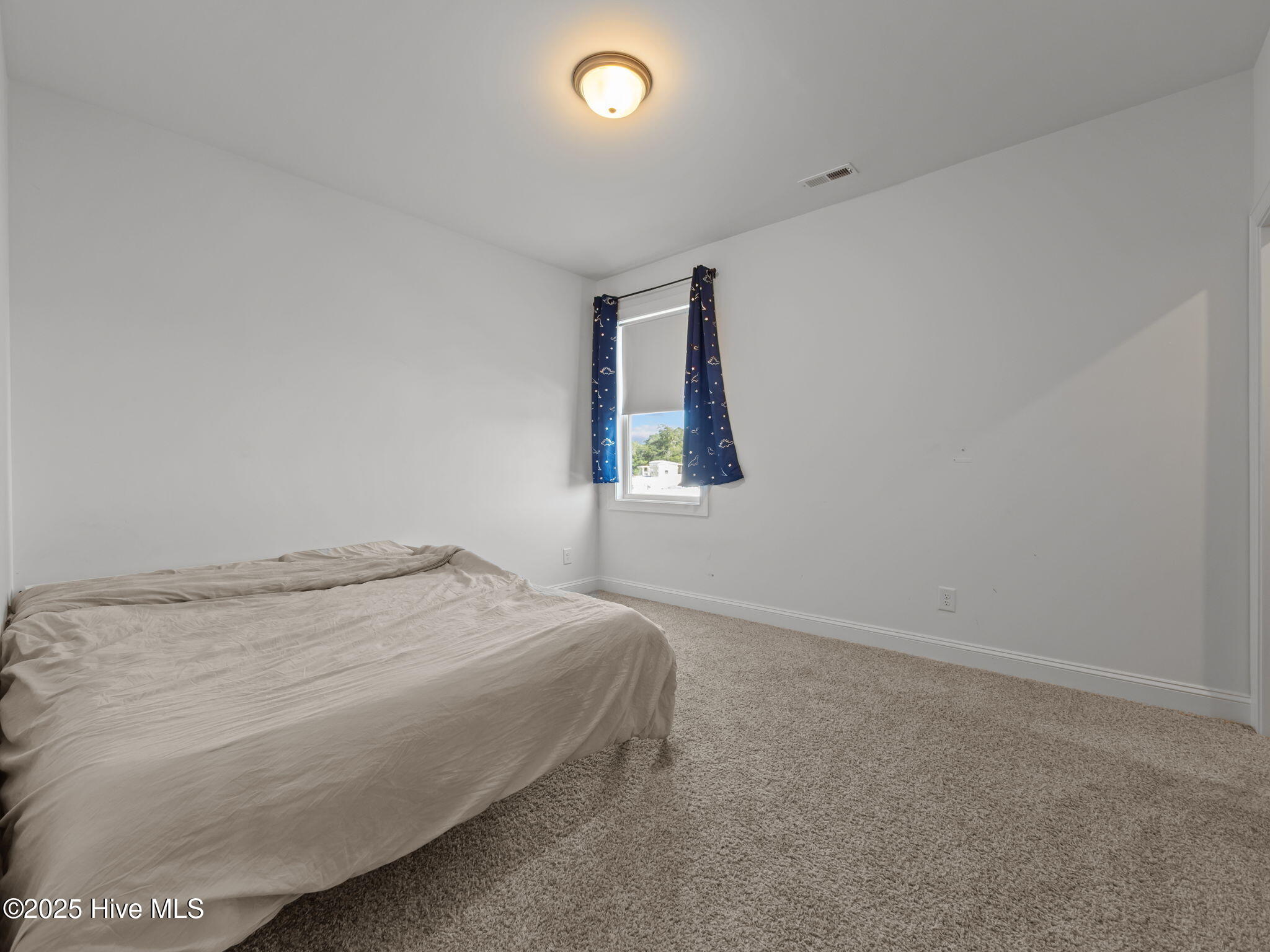 100534730 | Photo 20