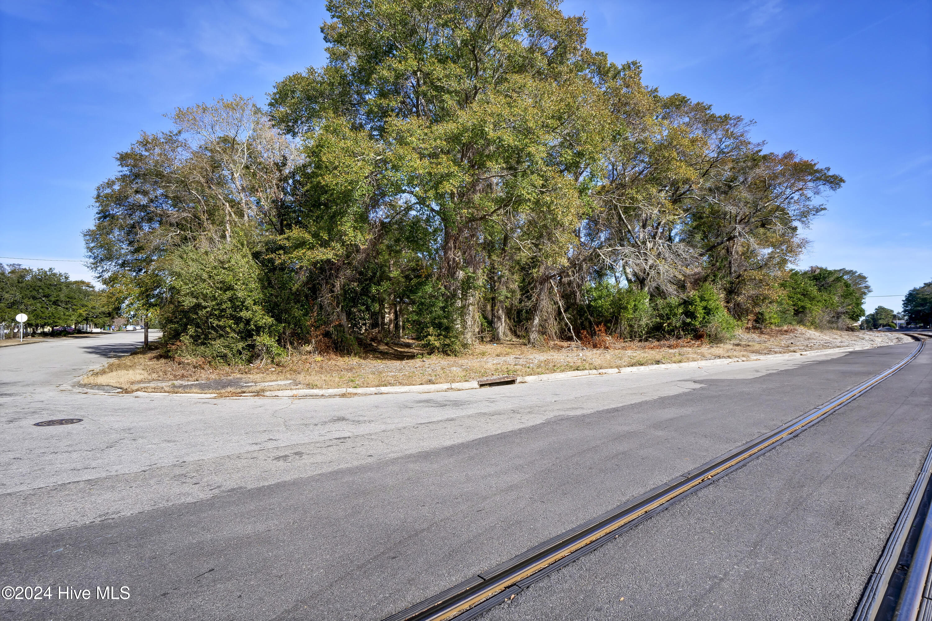 100480246 | Photo 23