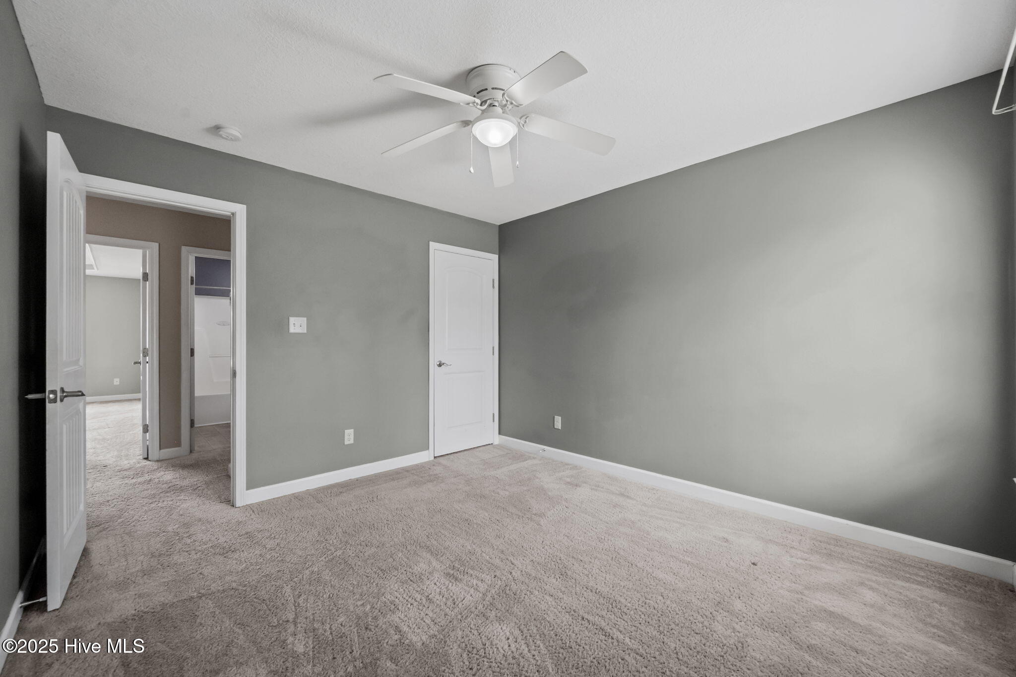 100546071 | Photo 49