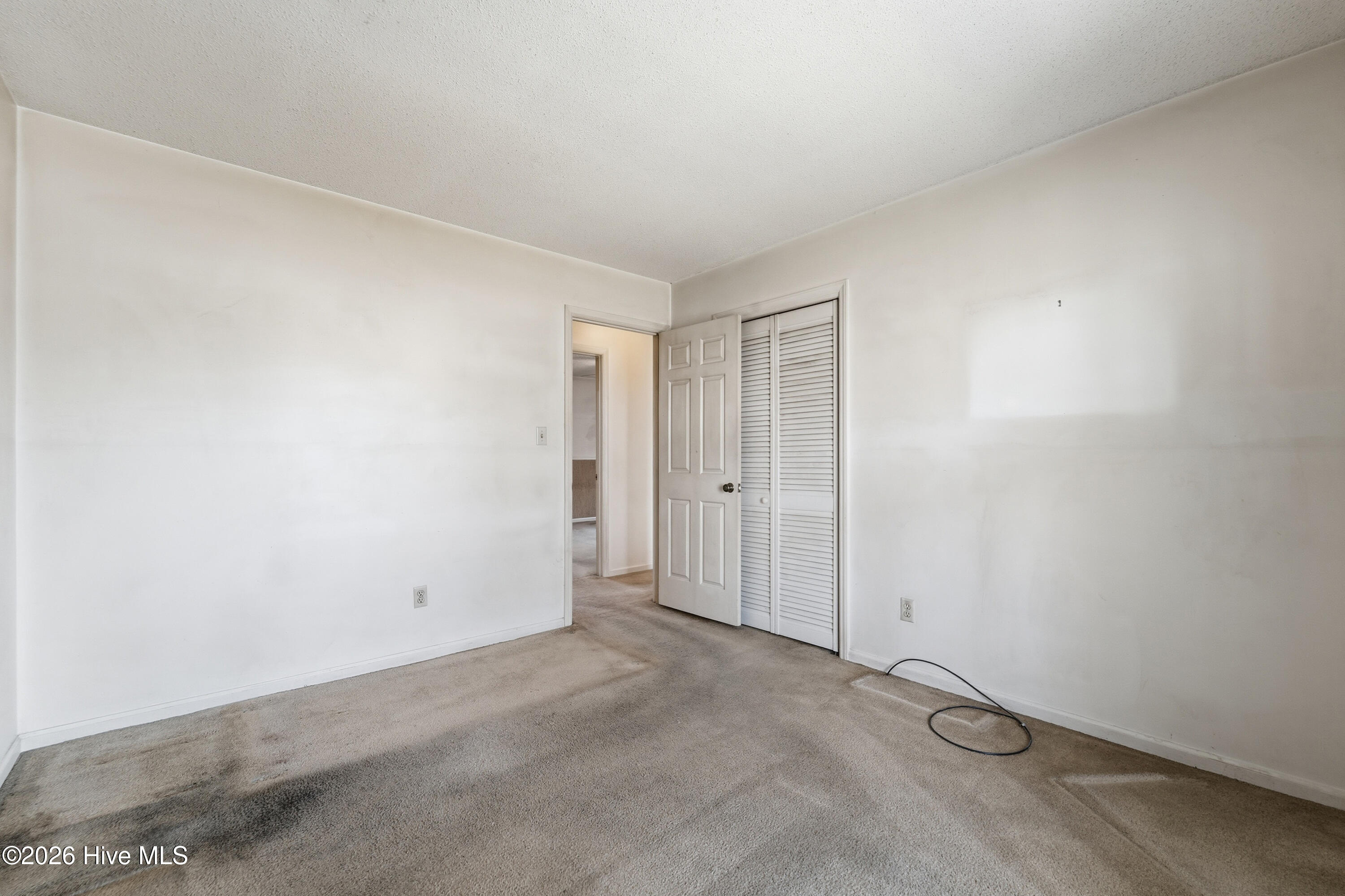 100563491 | Photo 25