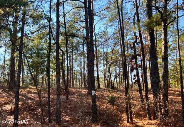 Homes for sale in Vass, NC | 433 Thimbleberry Dr, Vass, NC 28394 | MLS# 100483231