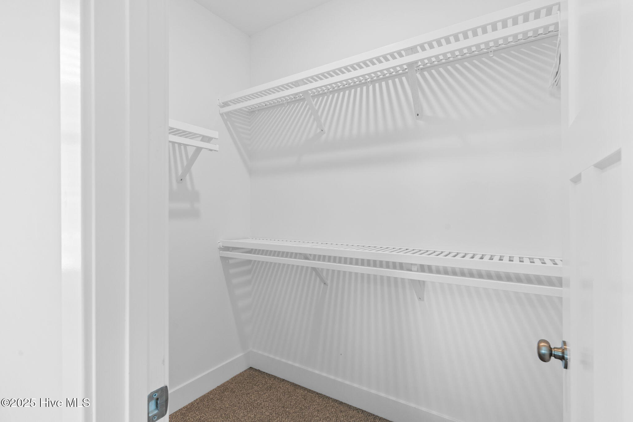 100527753 | Photo 54