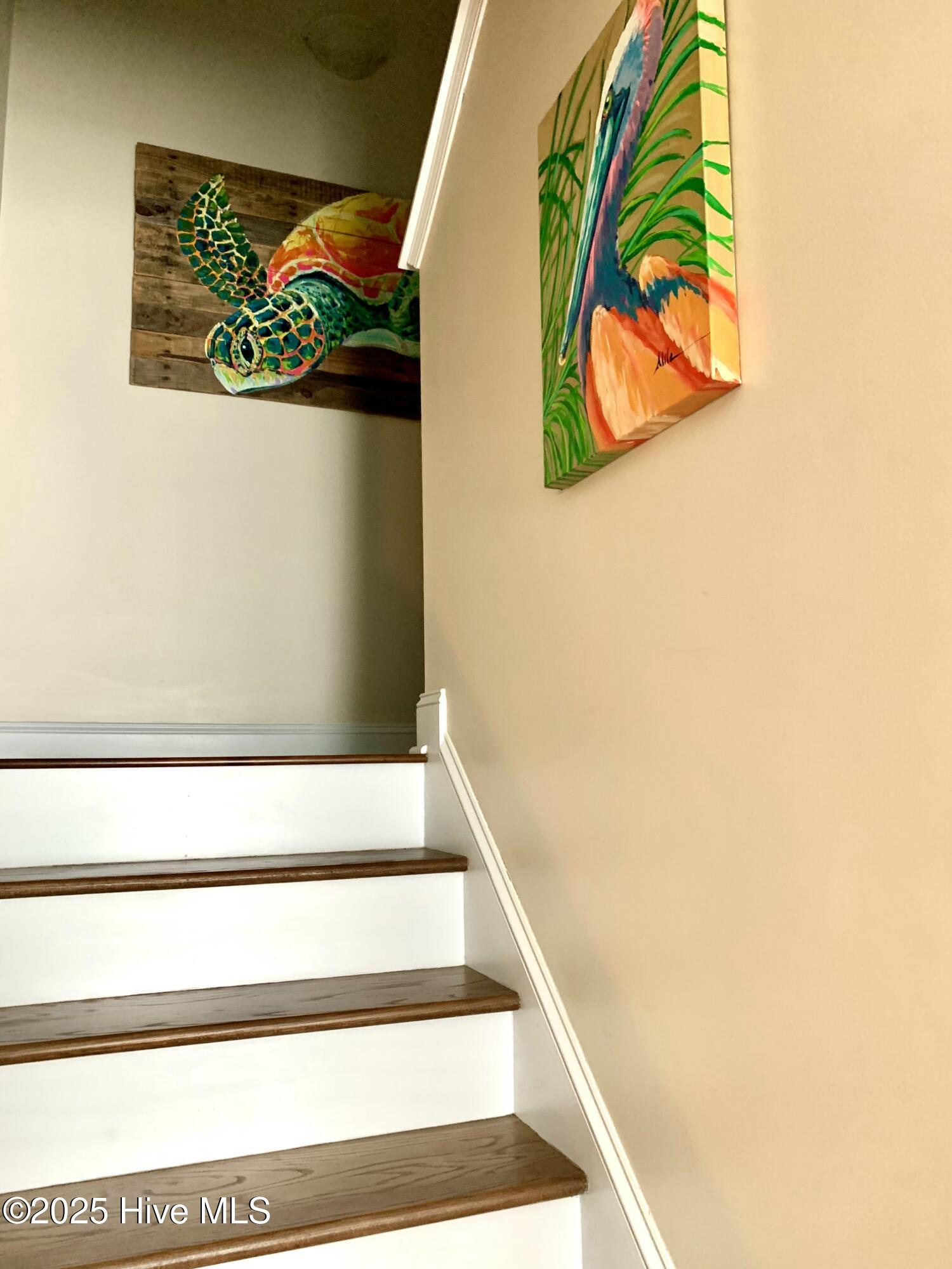 100536015 | Photo 50