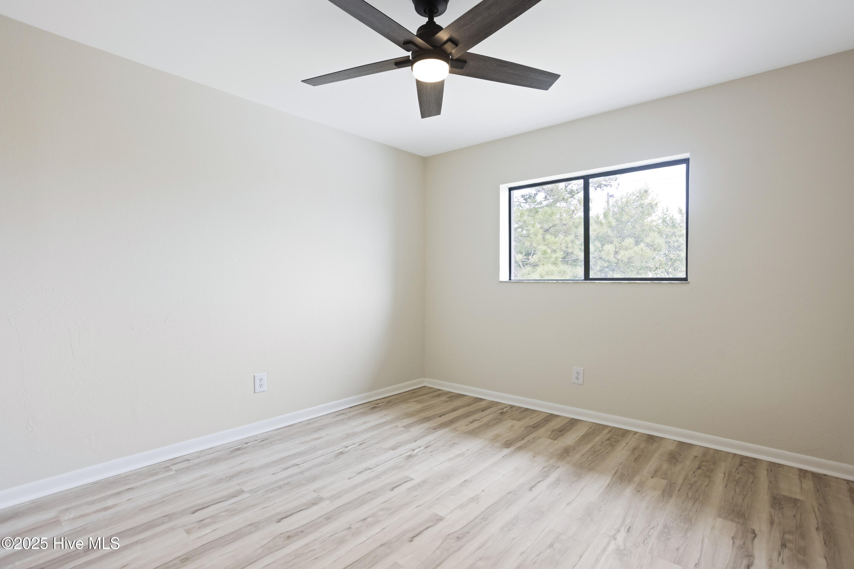 100537124 | Photo 16