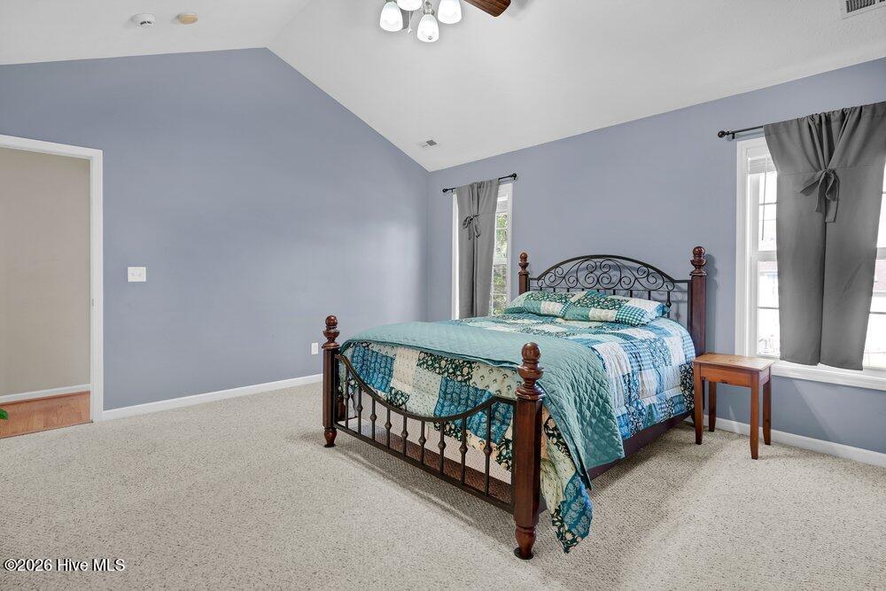 100567145 | Photo 22