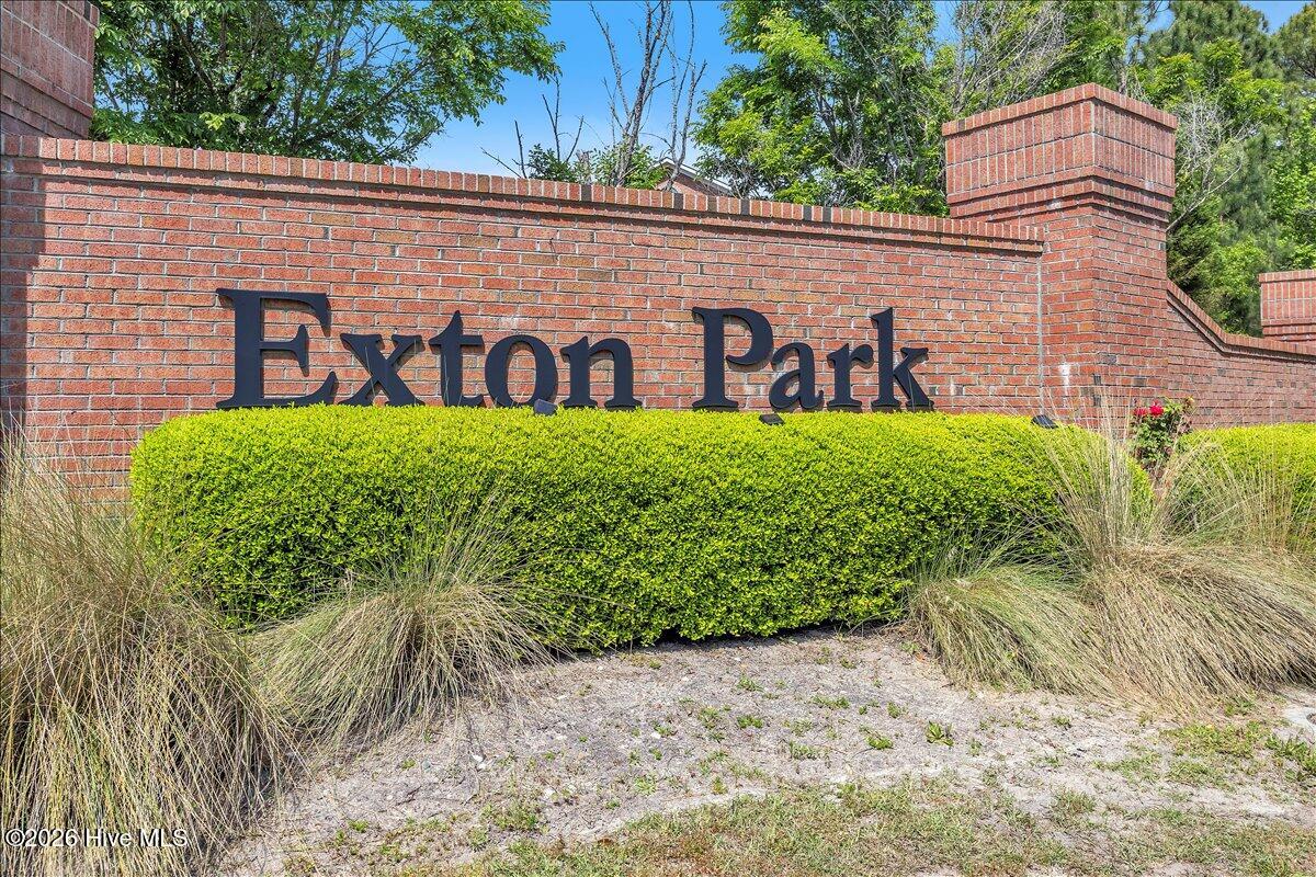 100567223 | Photo 43