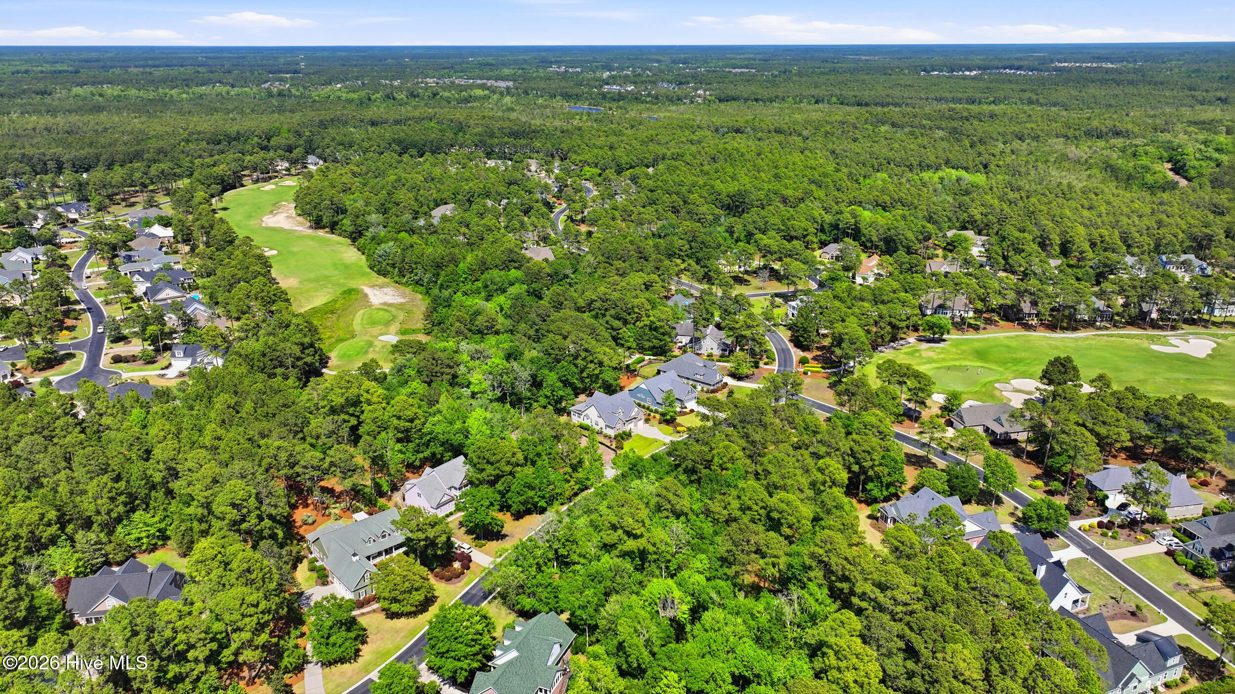 100570003 | Photo 13