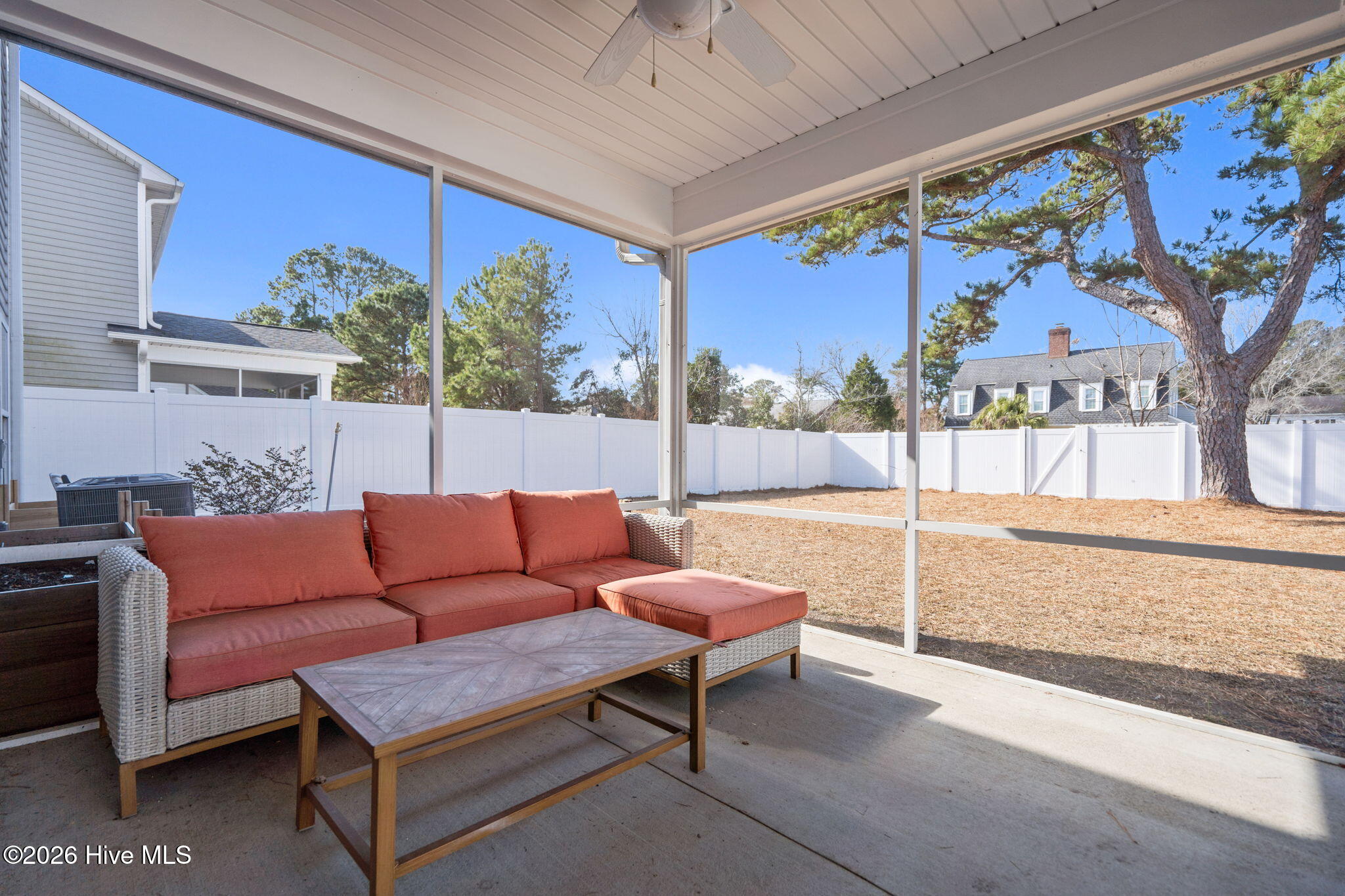 100549684 | Photo 35