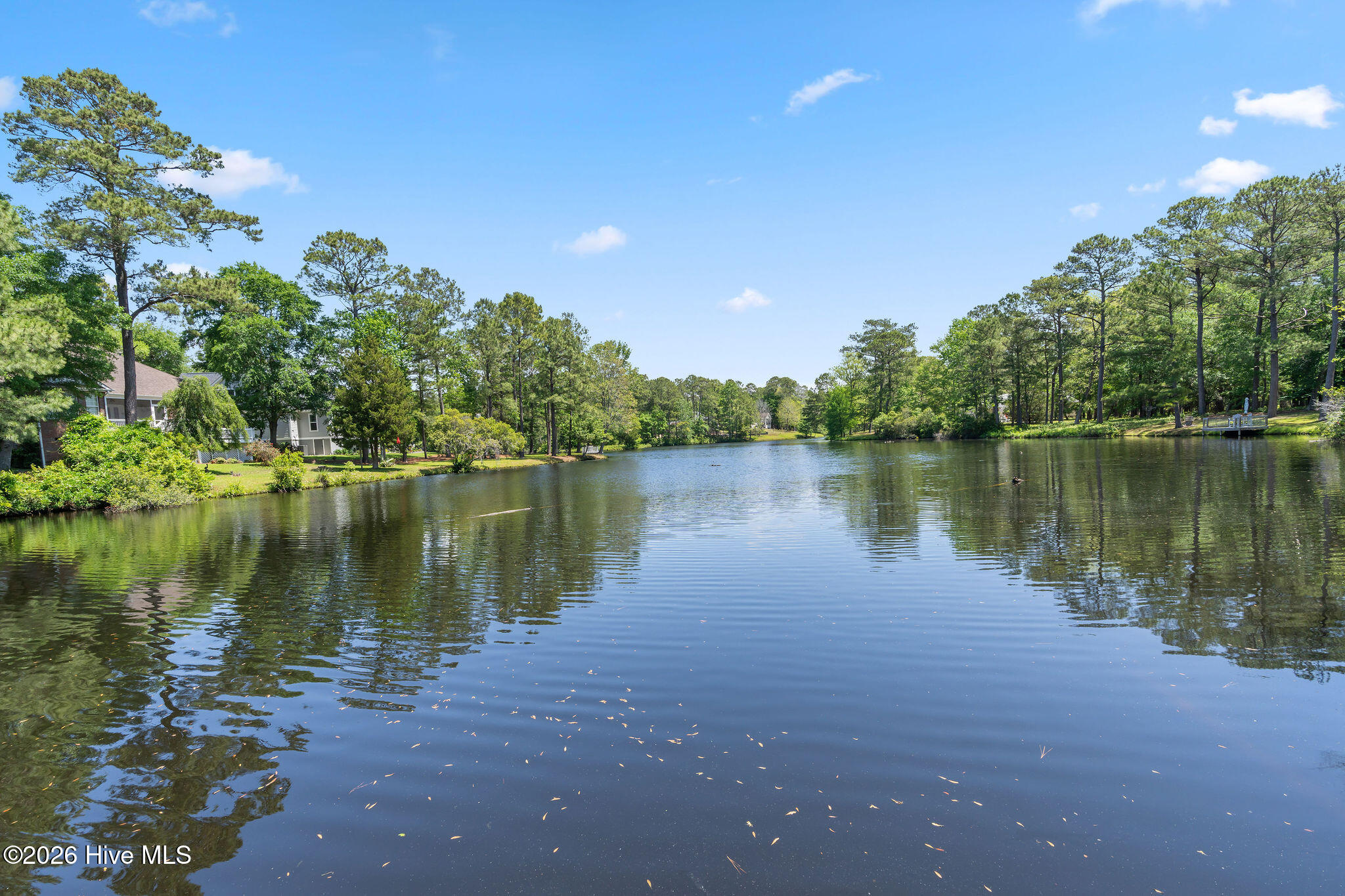 100567375 | Photo 69