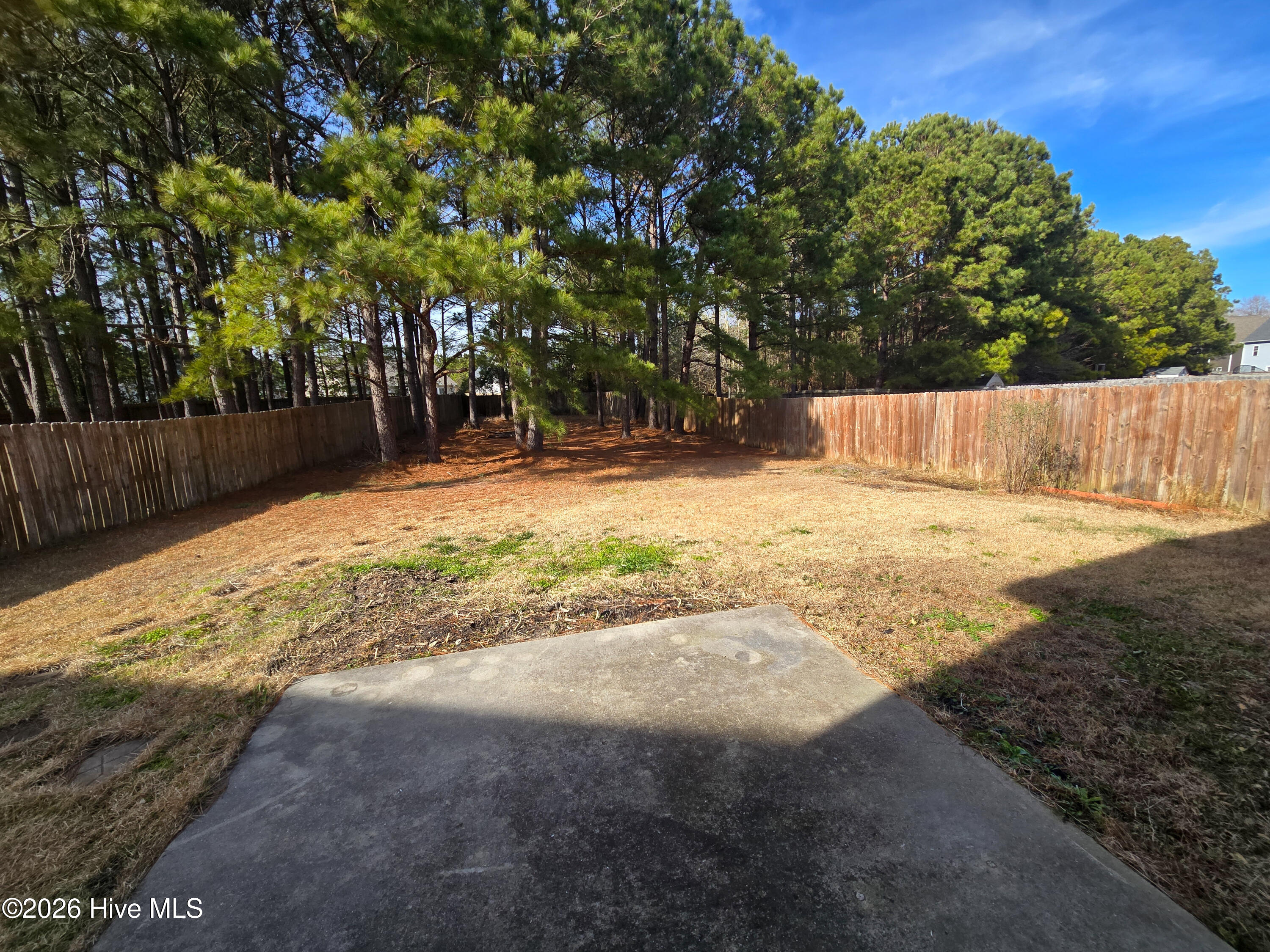 100557279 | Photo 29