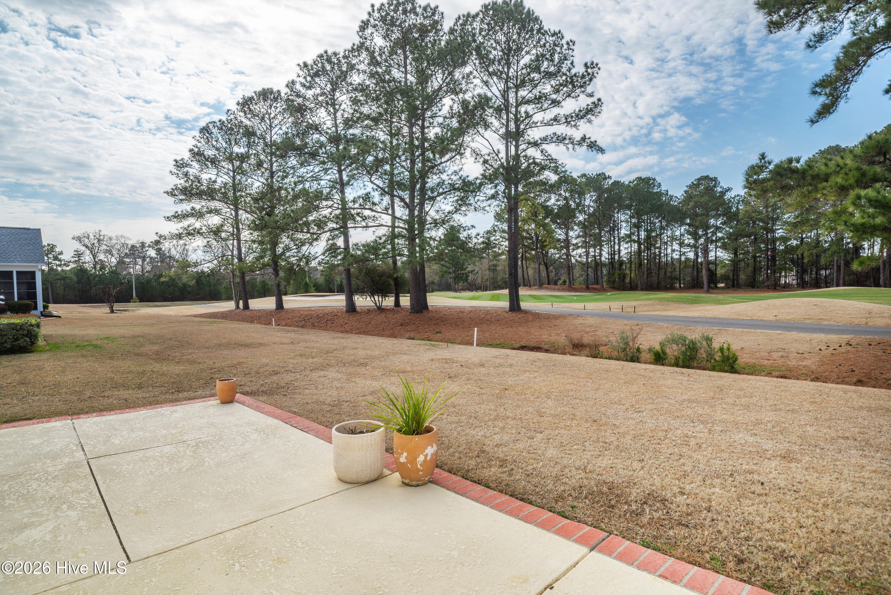 100554732 | Photo 35