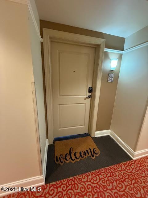 100537767 | Photo 11