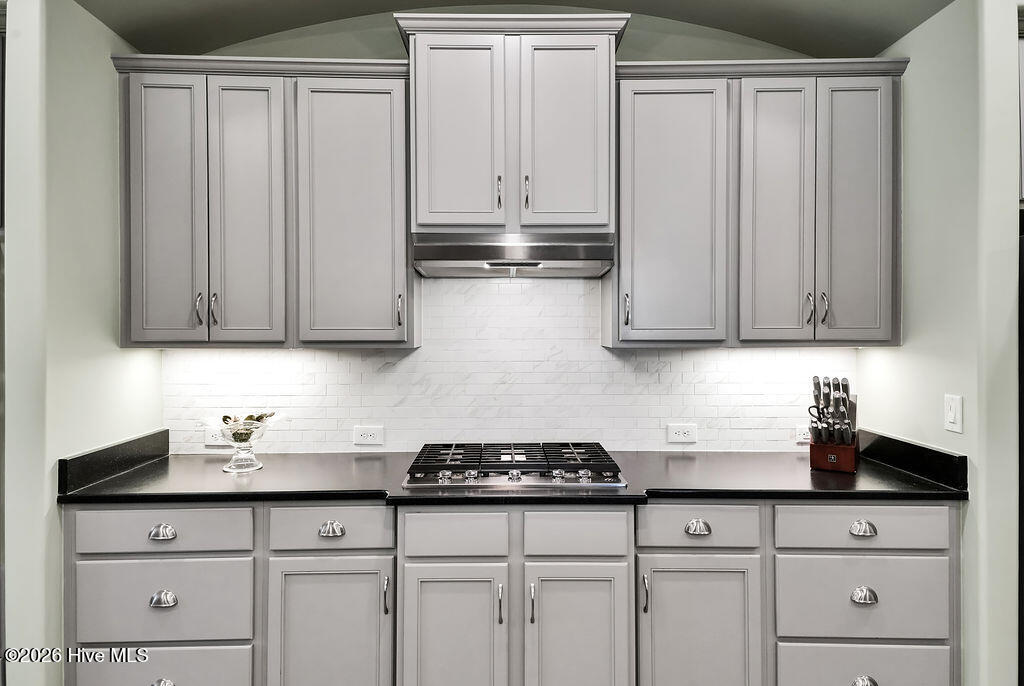 100558721 | Photo 16