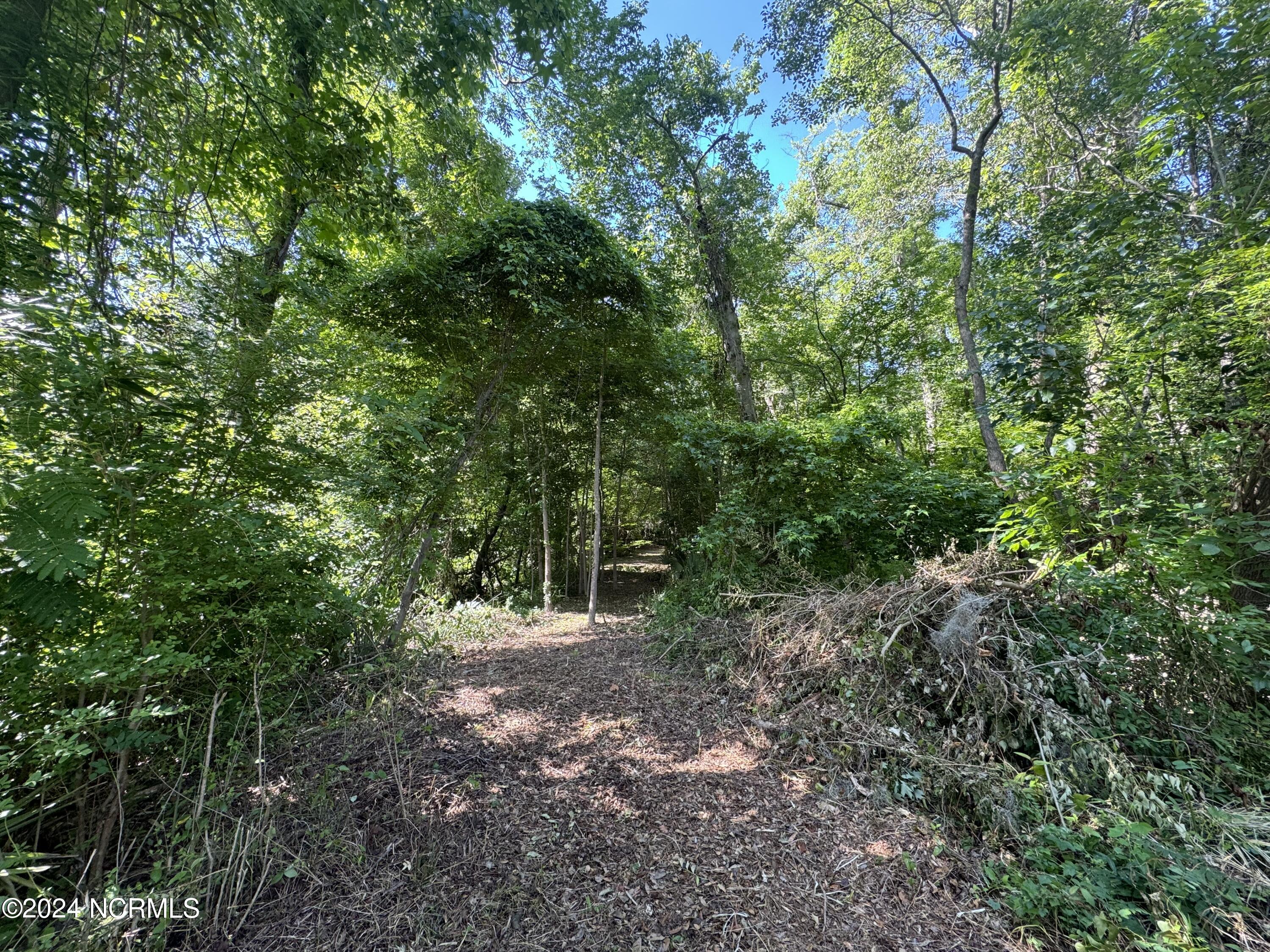 100524408 | Photo 35