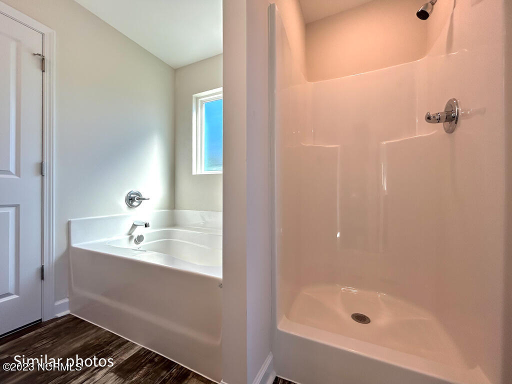 100556279 | Photo 38