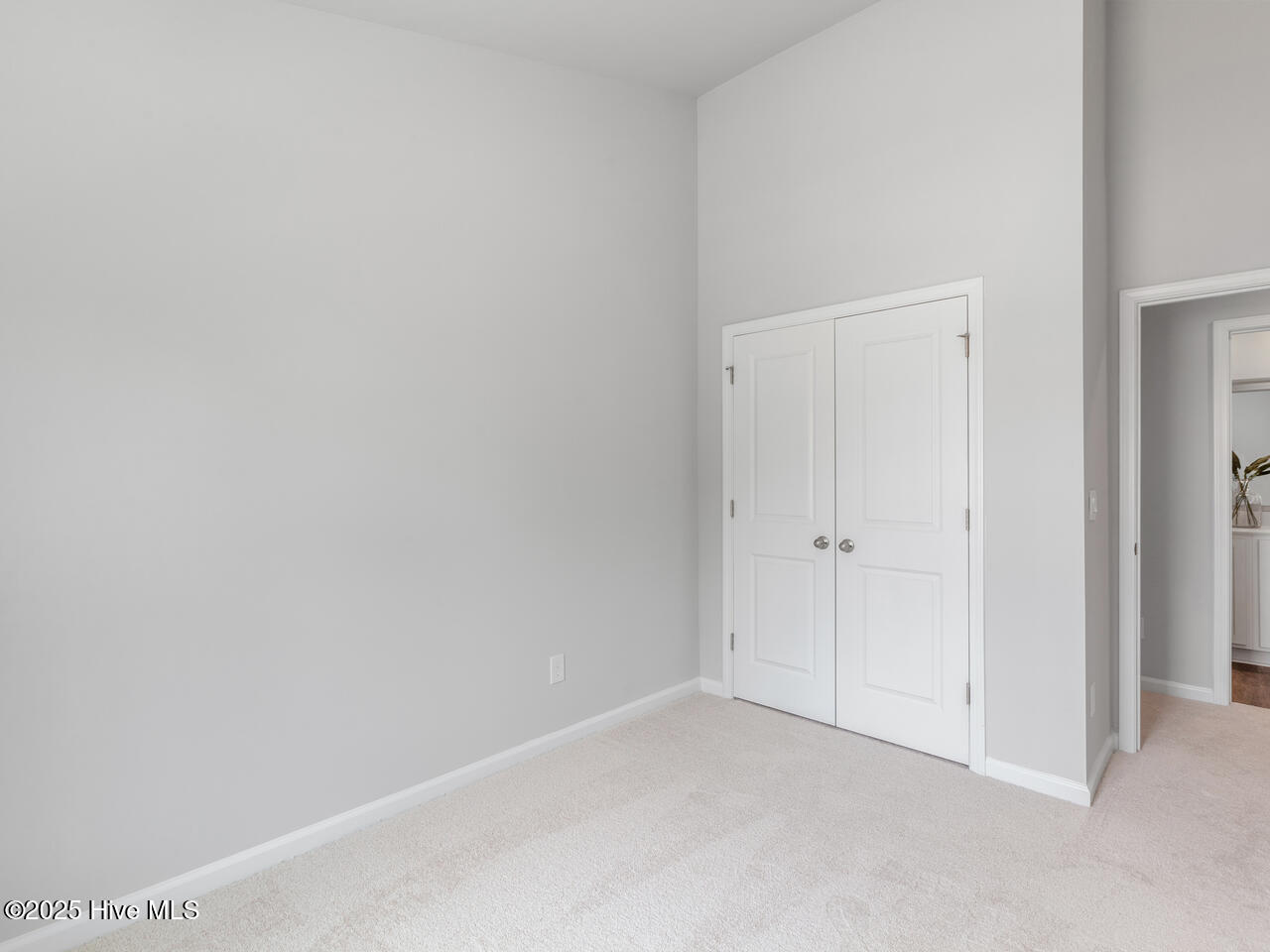 100517951 | Photo 28