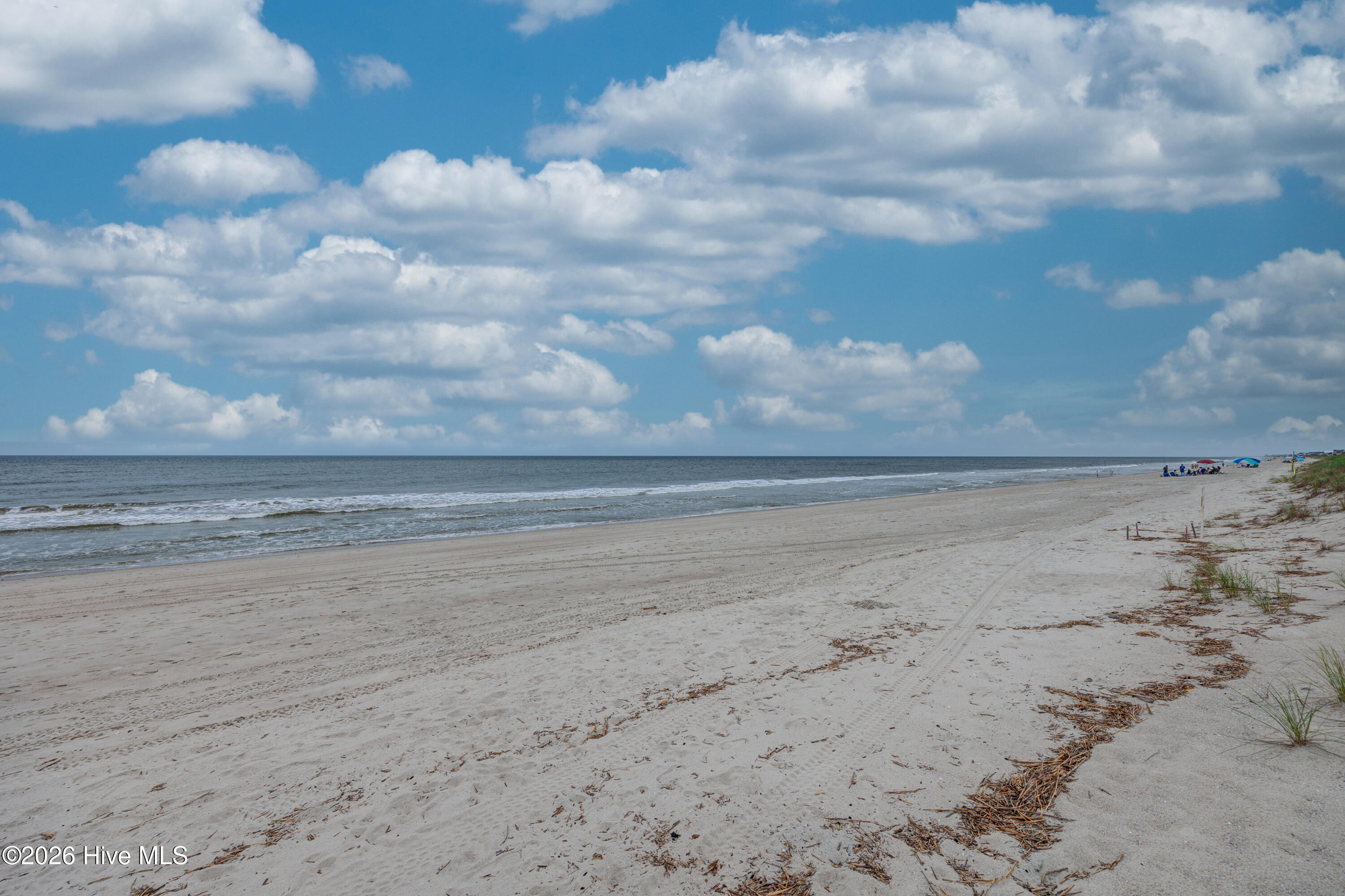 100553749 | Photo 33