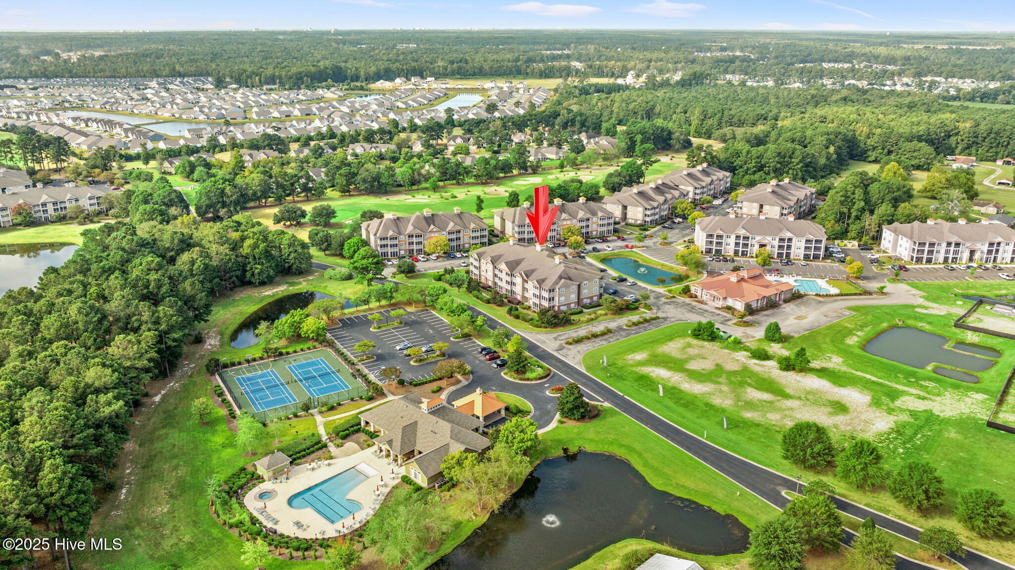 100532039 | Photo 34