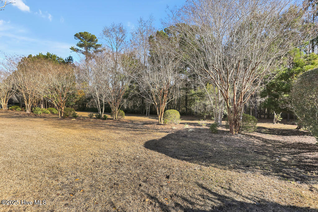 100544597 | Photo 37