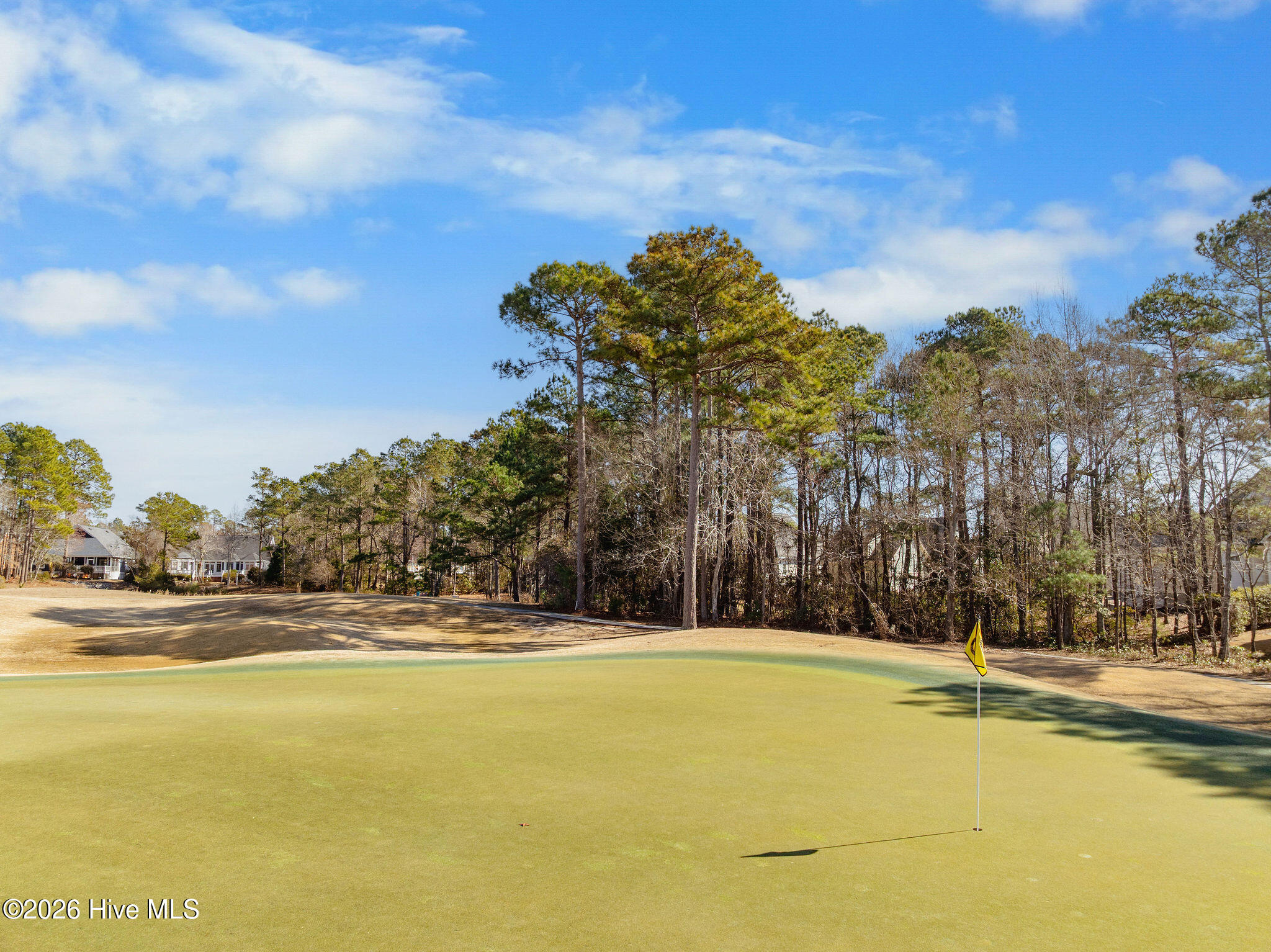 100557018 | Photo 72