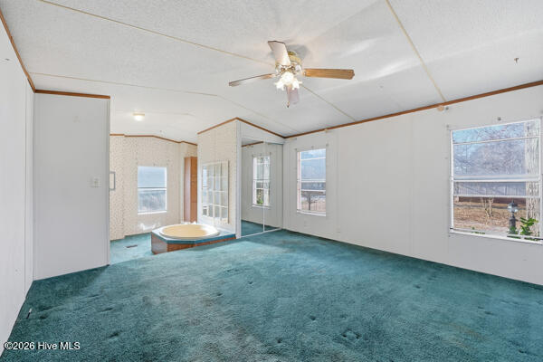 100548594 | Photo 12