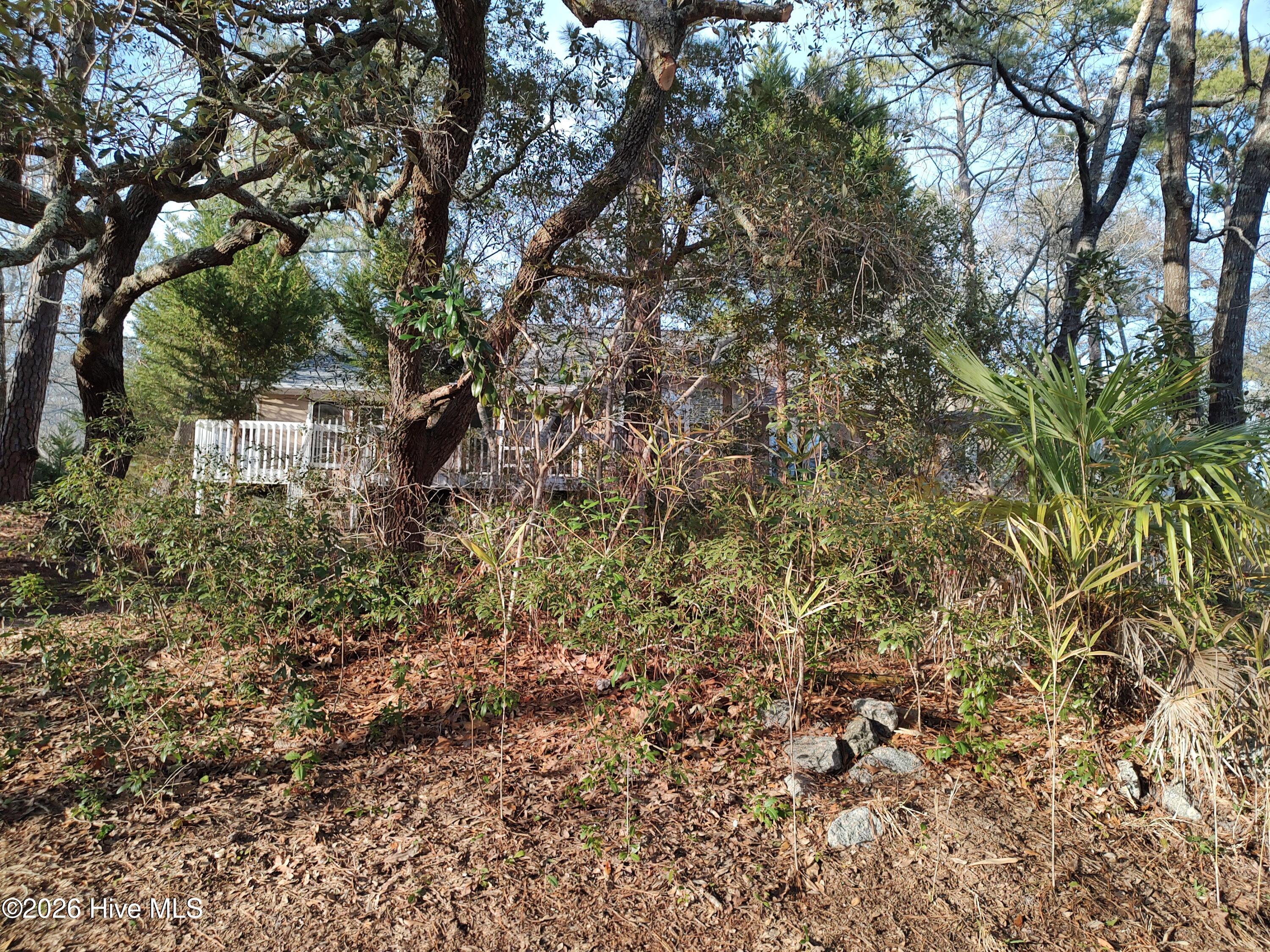 100560201 | Photo 18