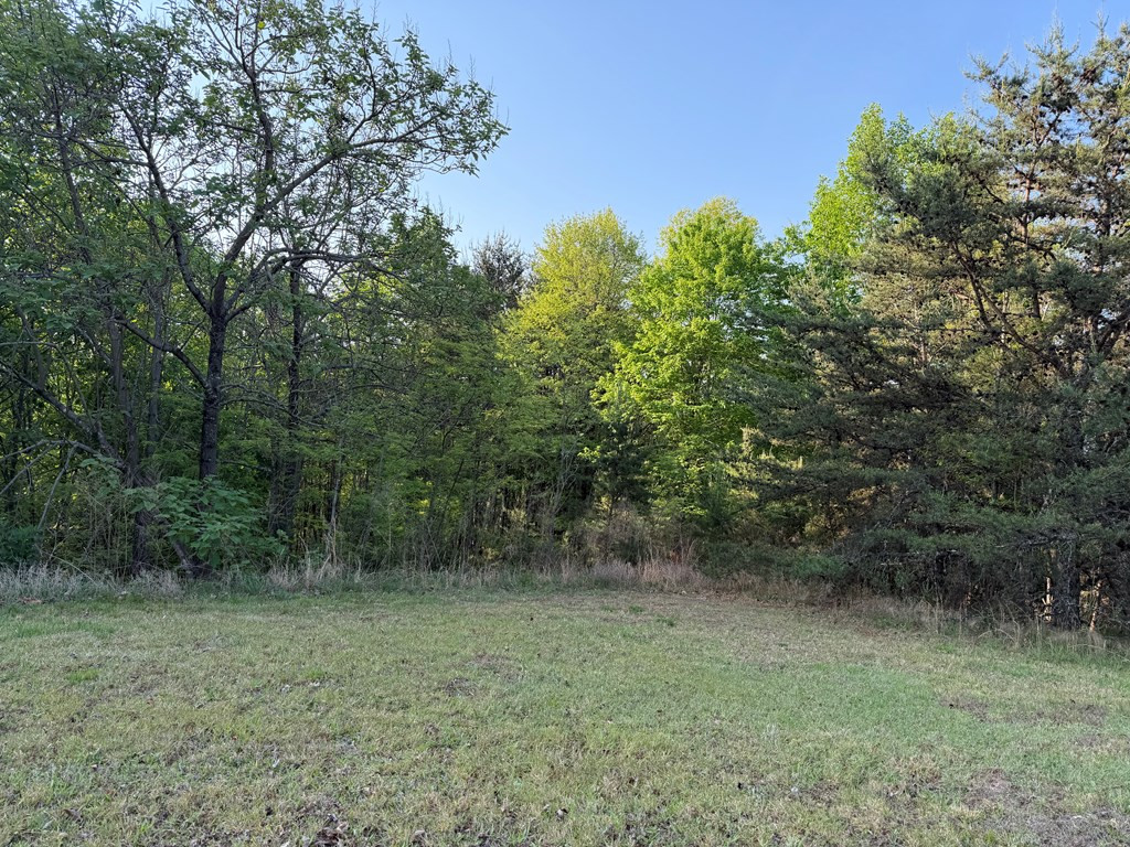 Exterior photo of Lot #20 Yellow Maple Drive, Murphy, NC 28906. MLS: 98519511