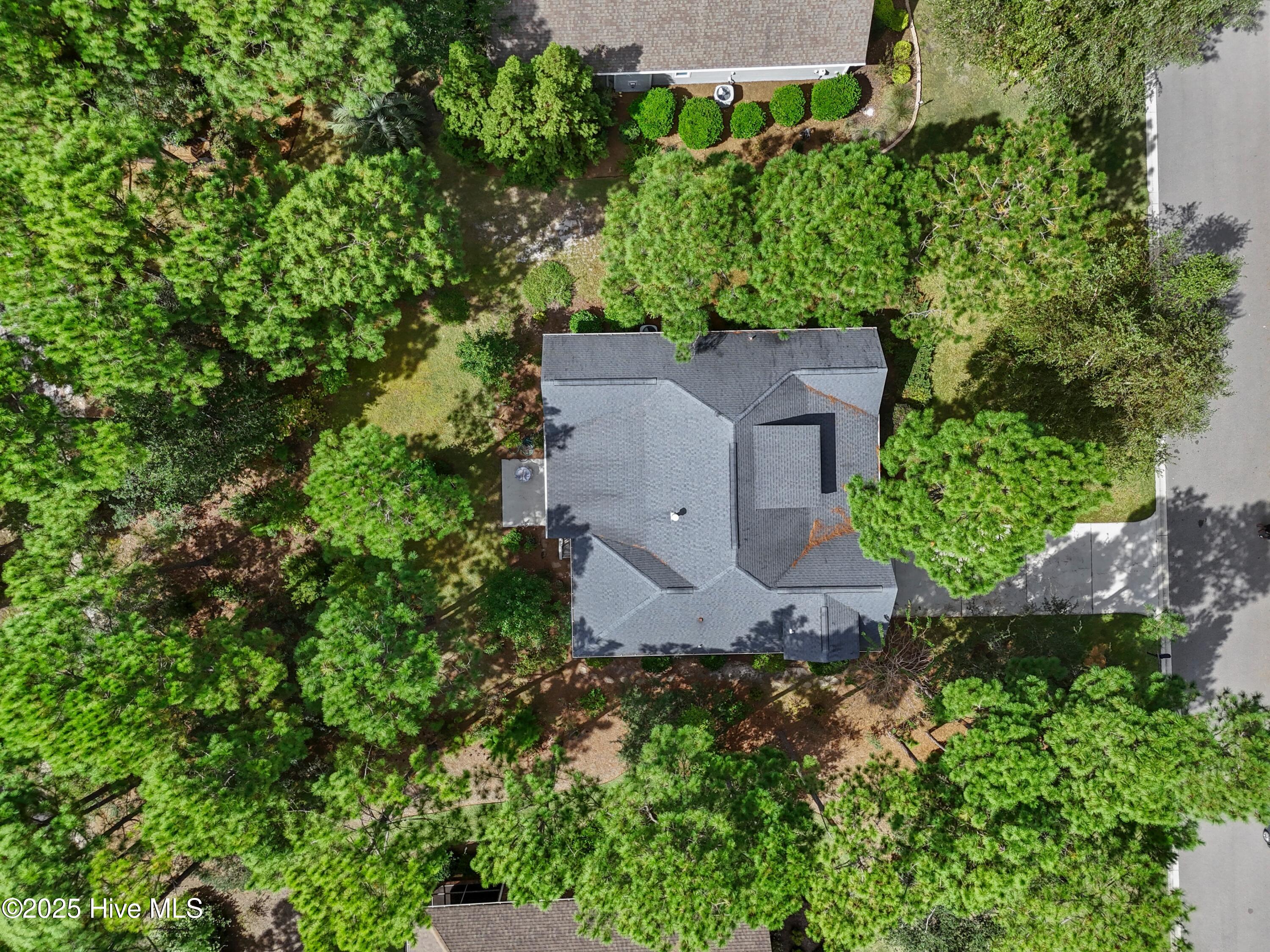 100534915 | Photo 38