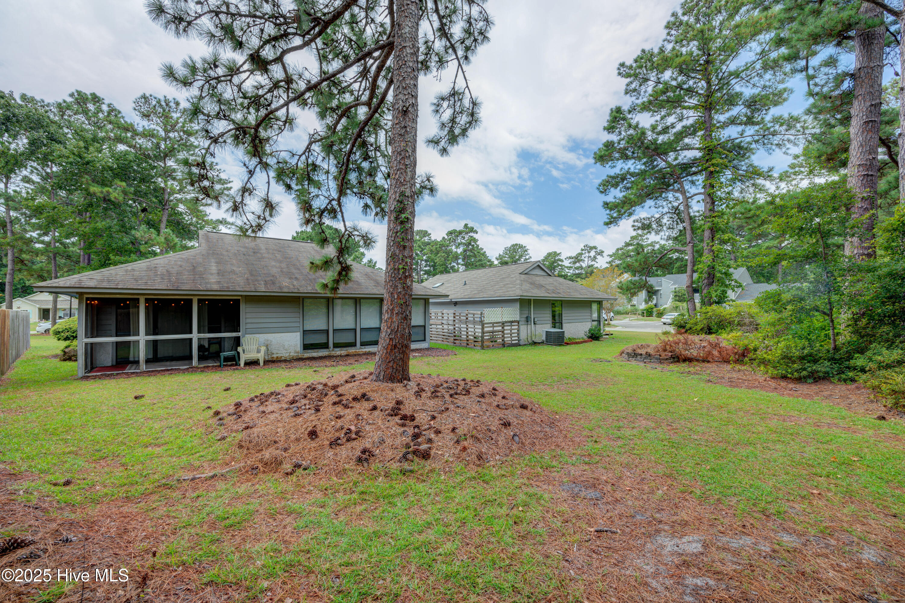 100524399 | Photo 33