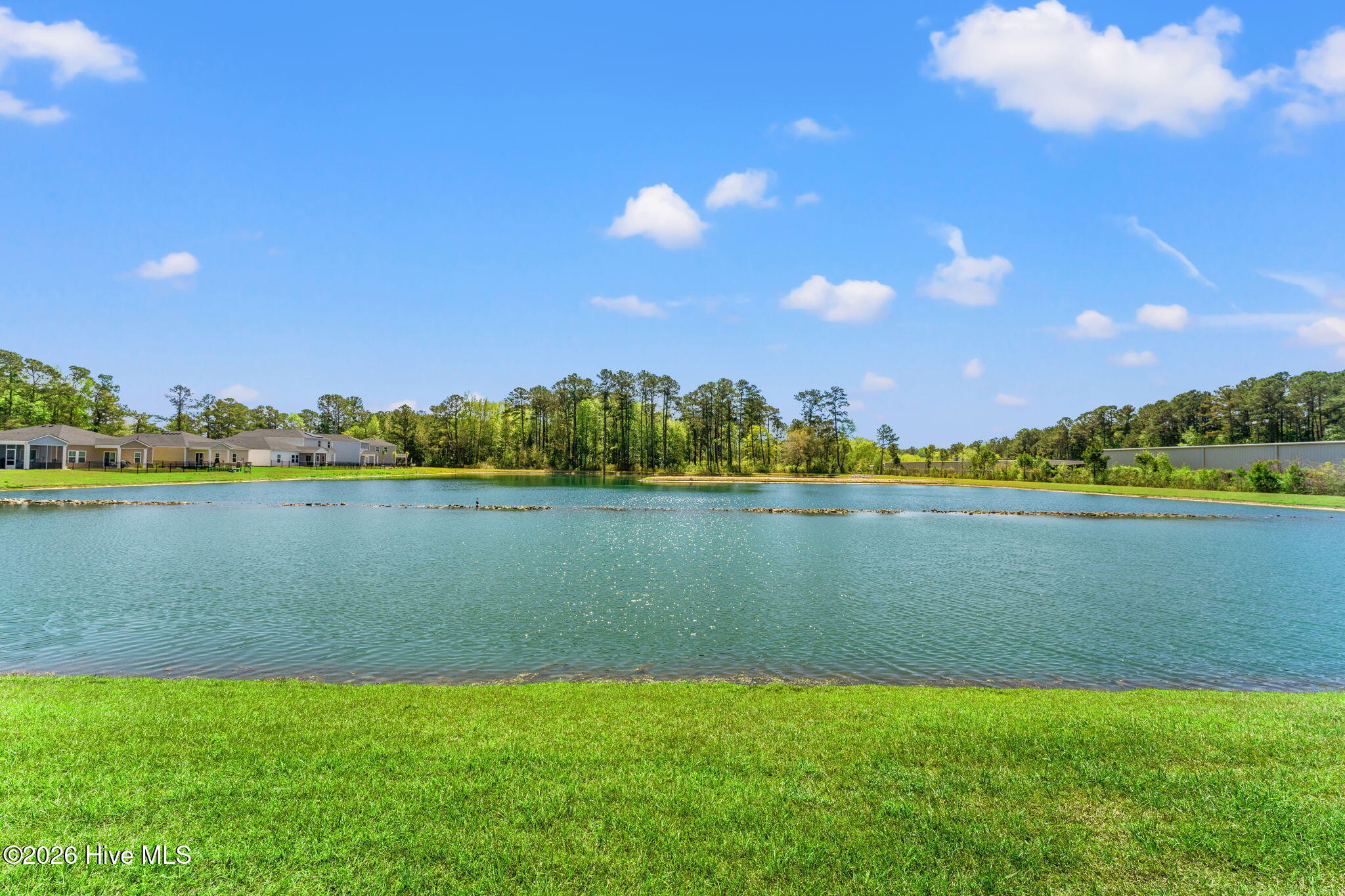 100566153 | Photo 39