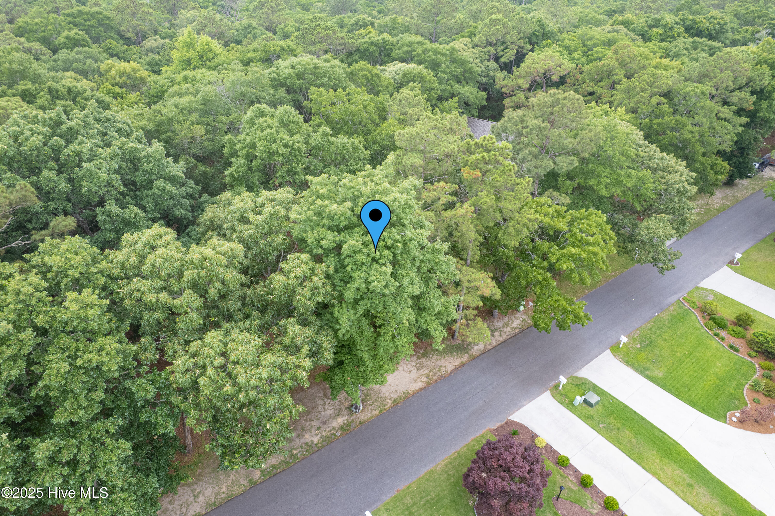 100548101 | Photo 12