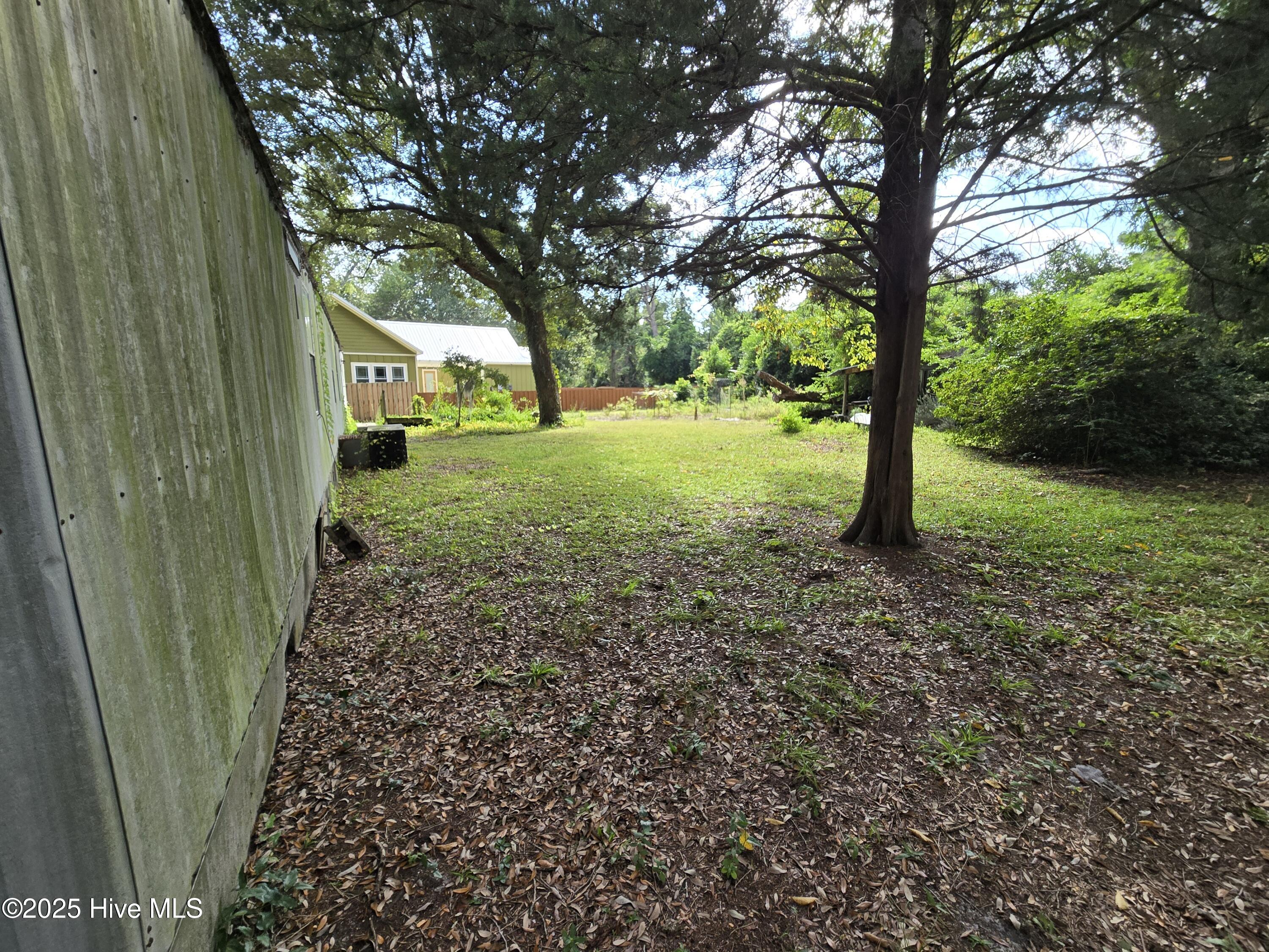 100531418 | Photo 32