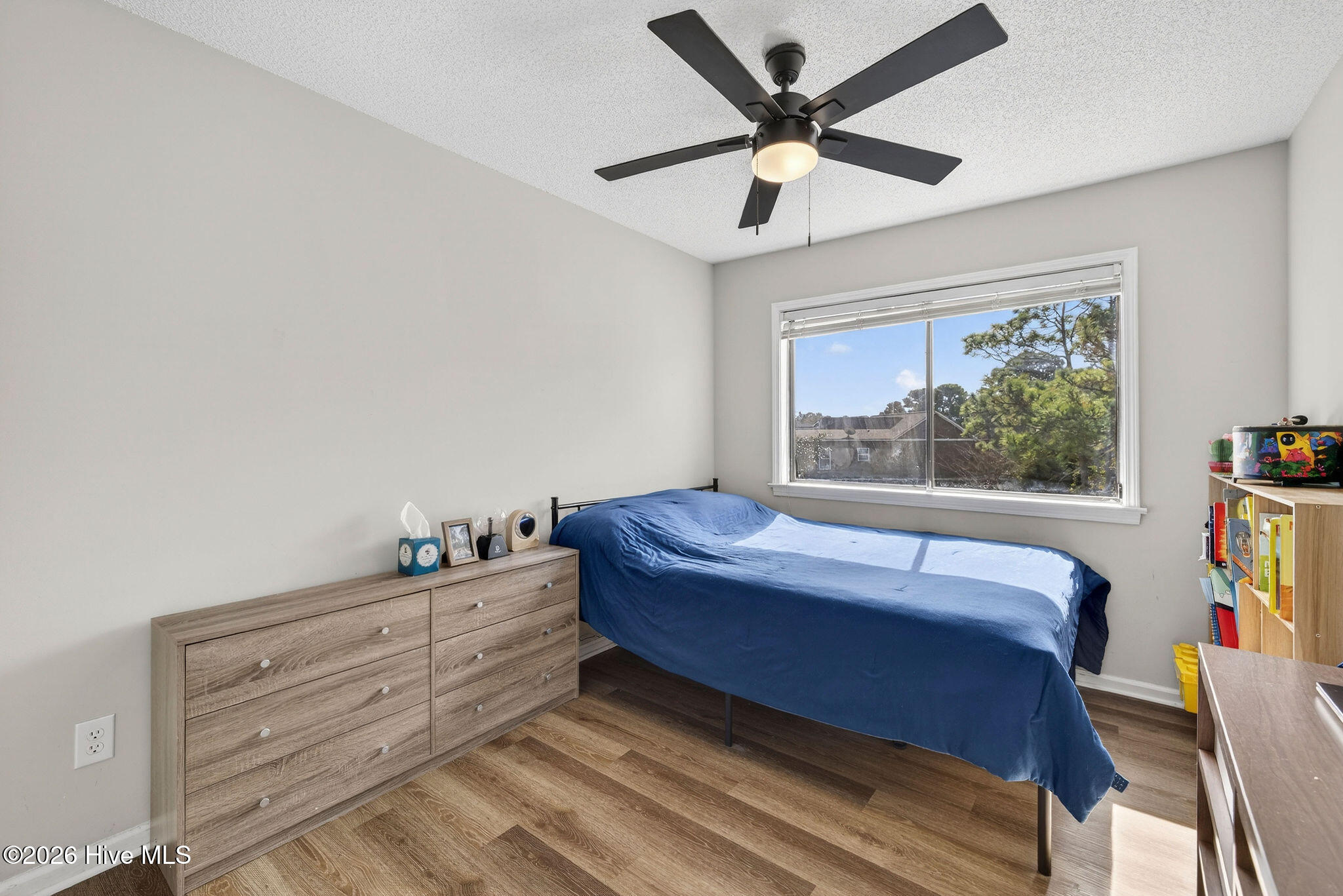 100555356 | Photo 21