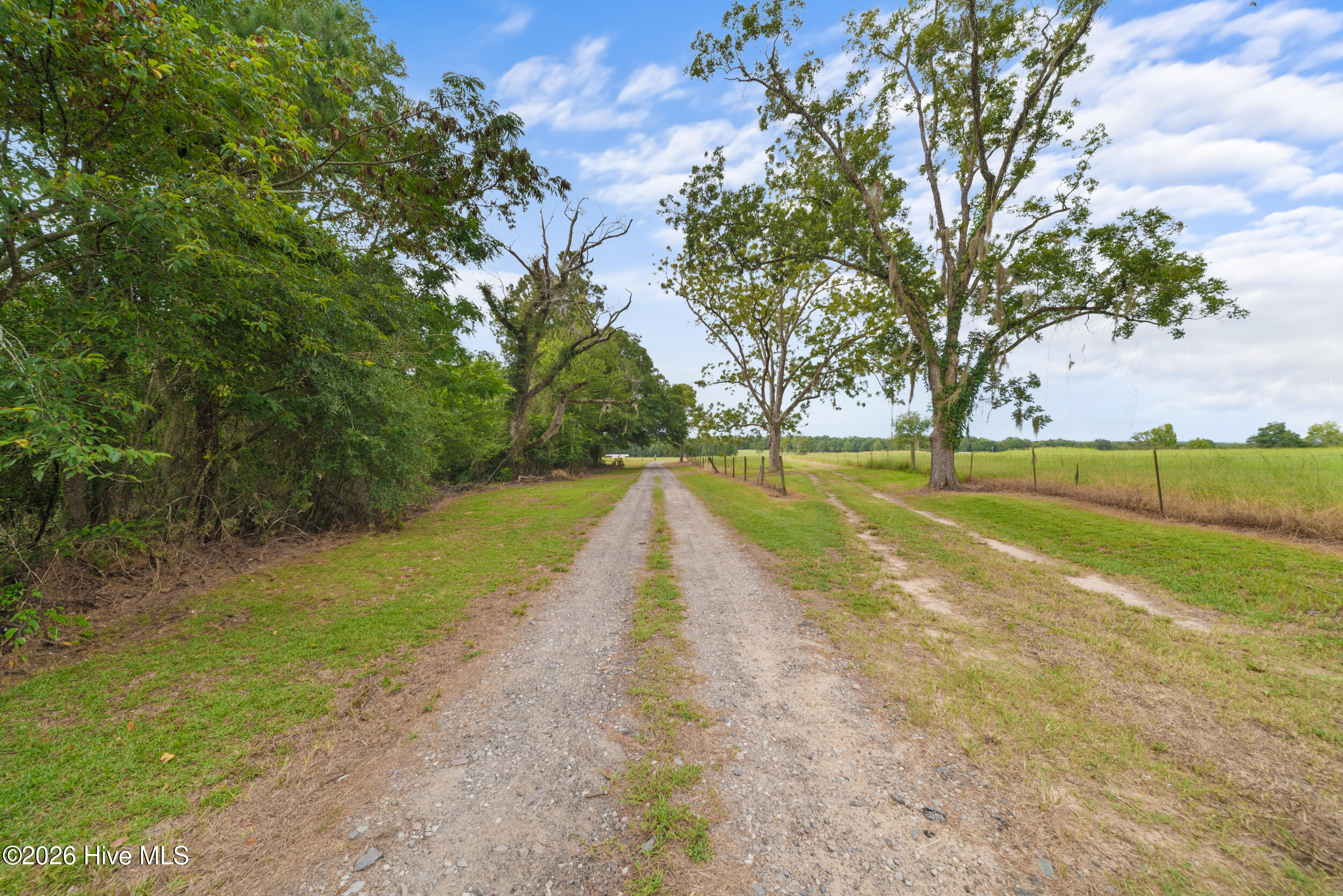 56th image of 3964 Ga Hwy 17 S, Millen, GA 30442 | MLS# 100600077