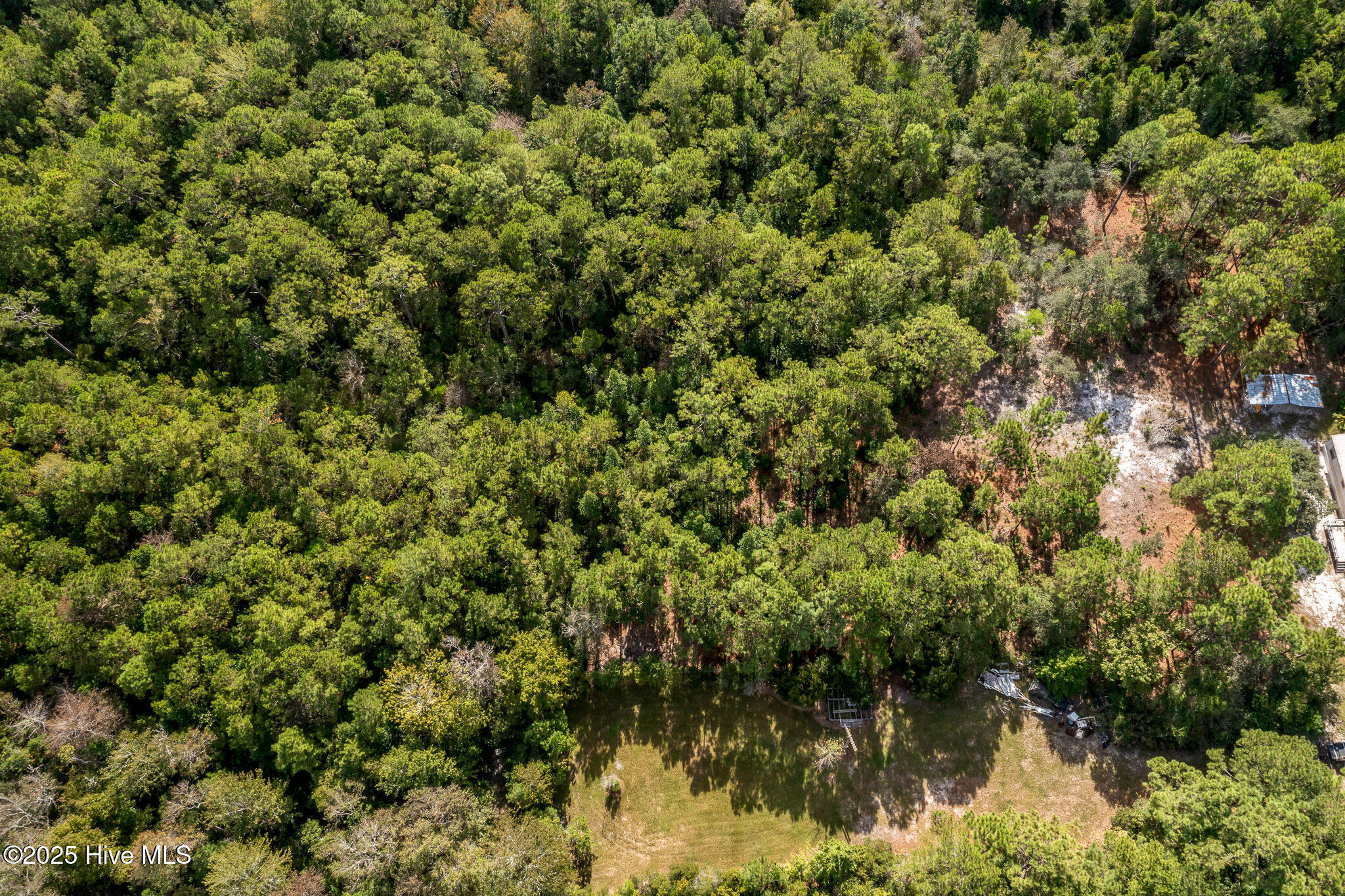 100534837 | Photo 16