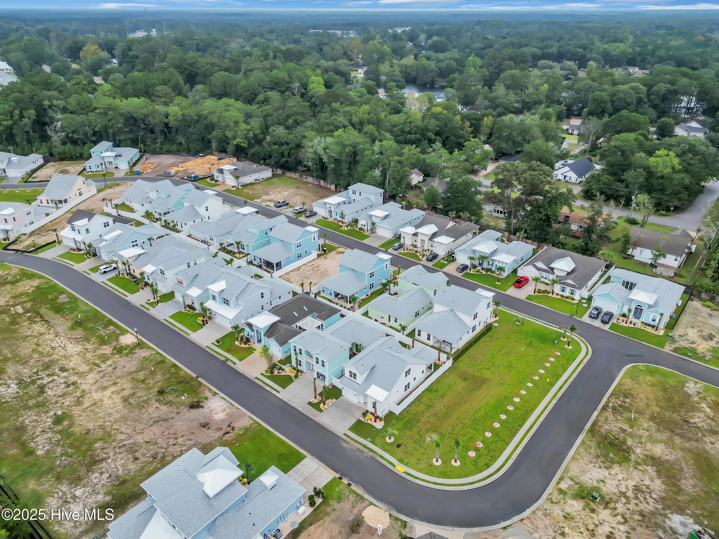 100533655 | Photo 49