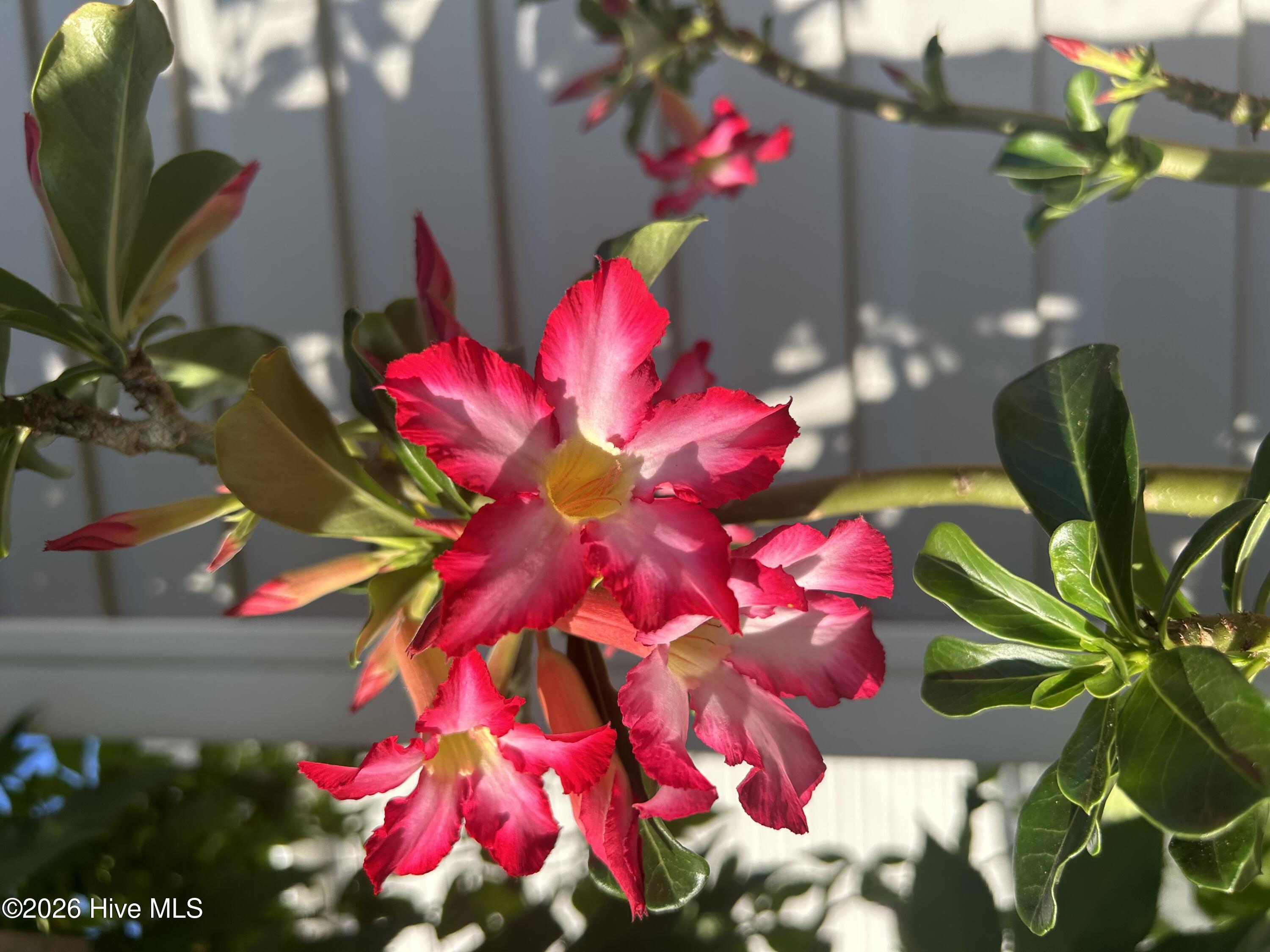 100549687 | Photo 69