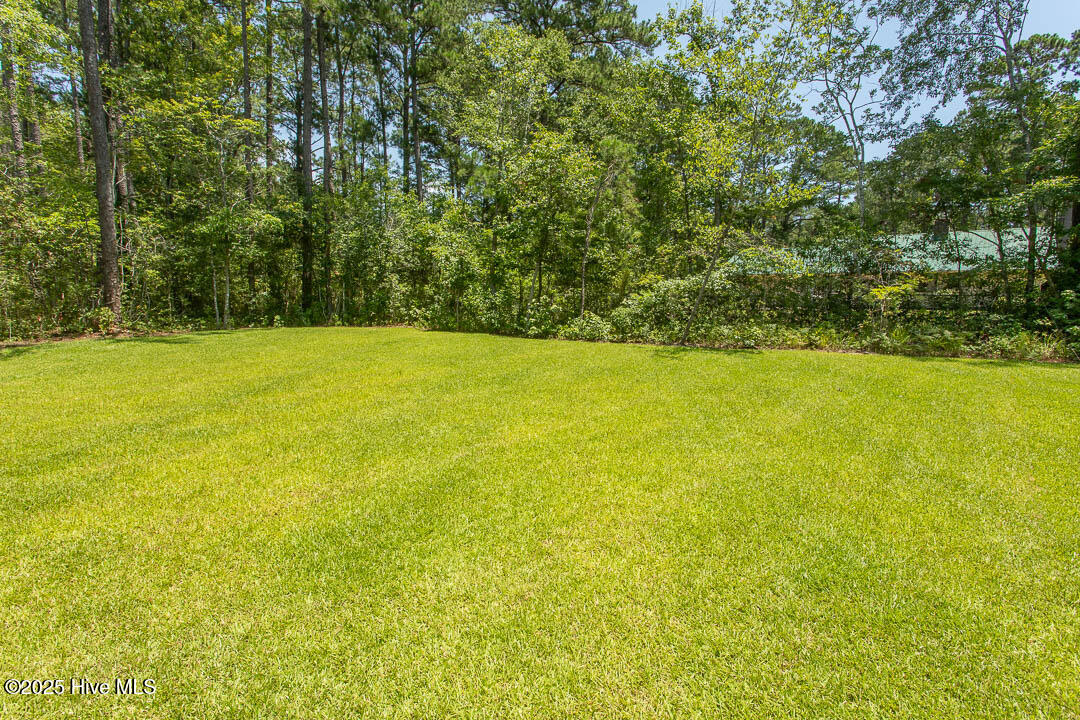 100541547 | Photo 41