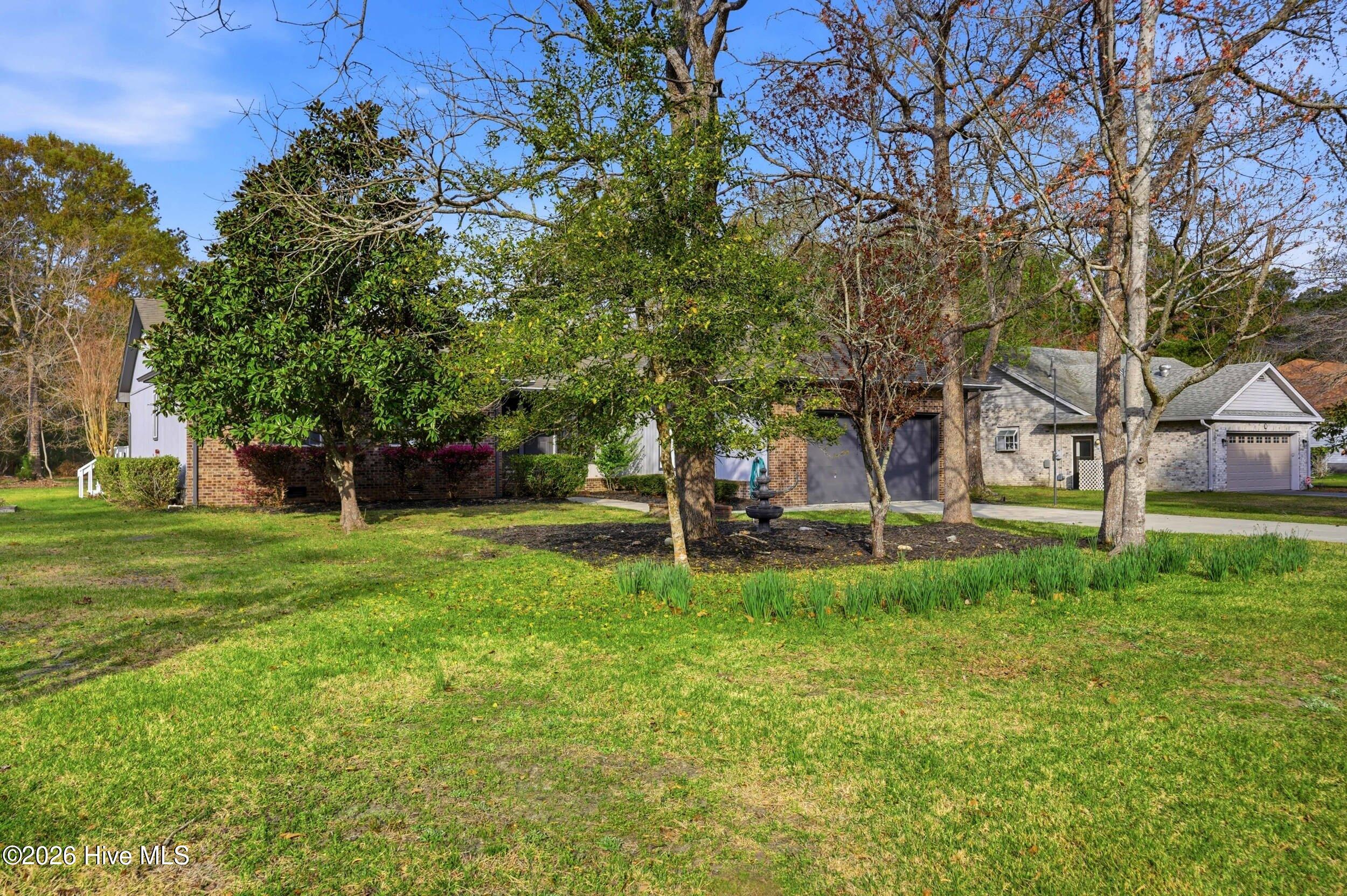 100555150 | Photo 42